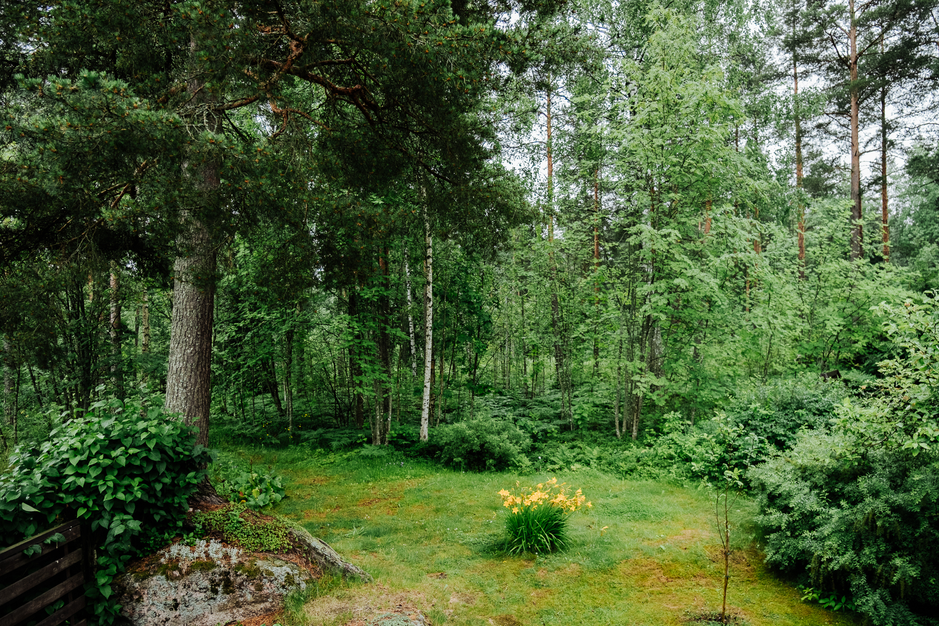 Piha rajoittuu metsään
