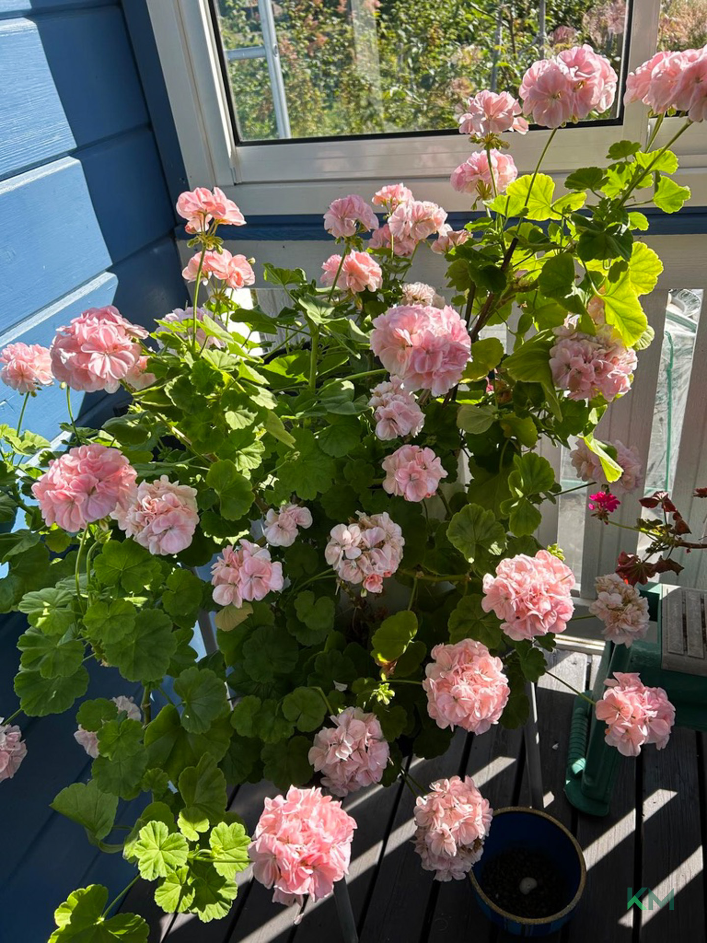 Kemijoen Itäpuolentie 243, Rovaniemi