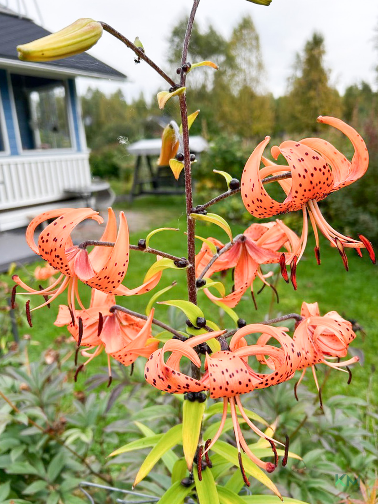 Kemijoen Itäpuolentie 243, Rovaniemi