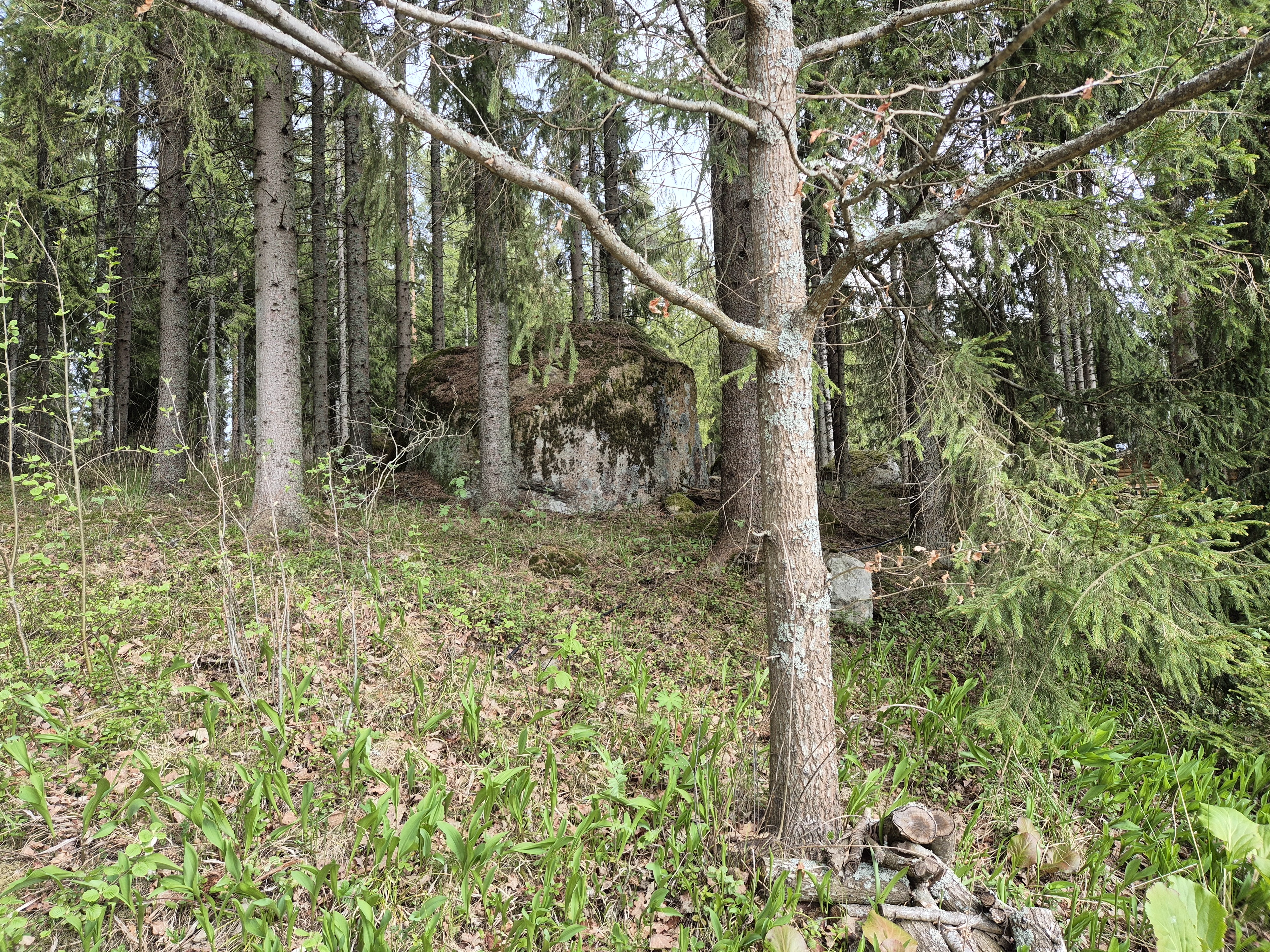 Kirventeenmetsätie 165 A, Lemi