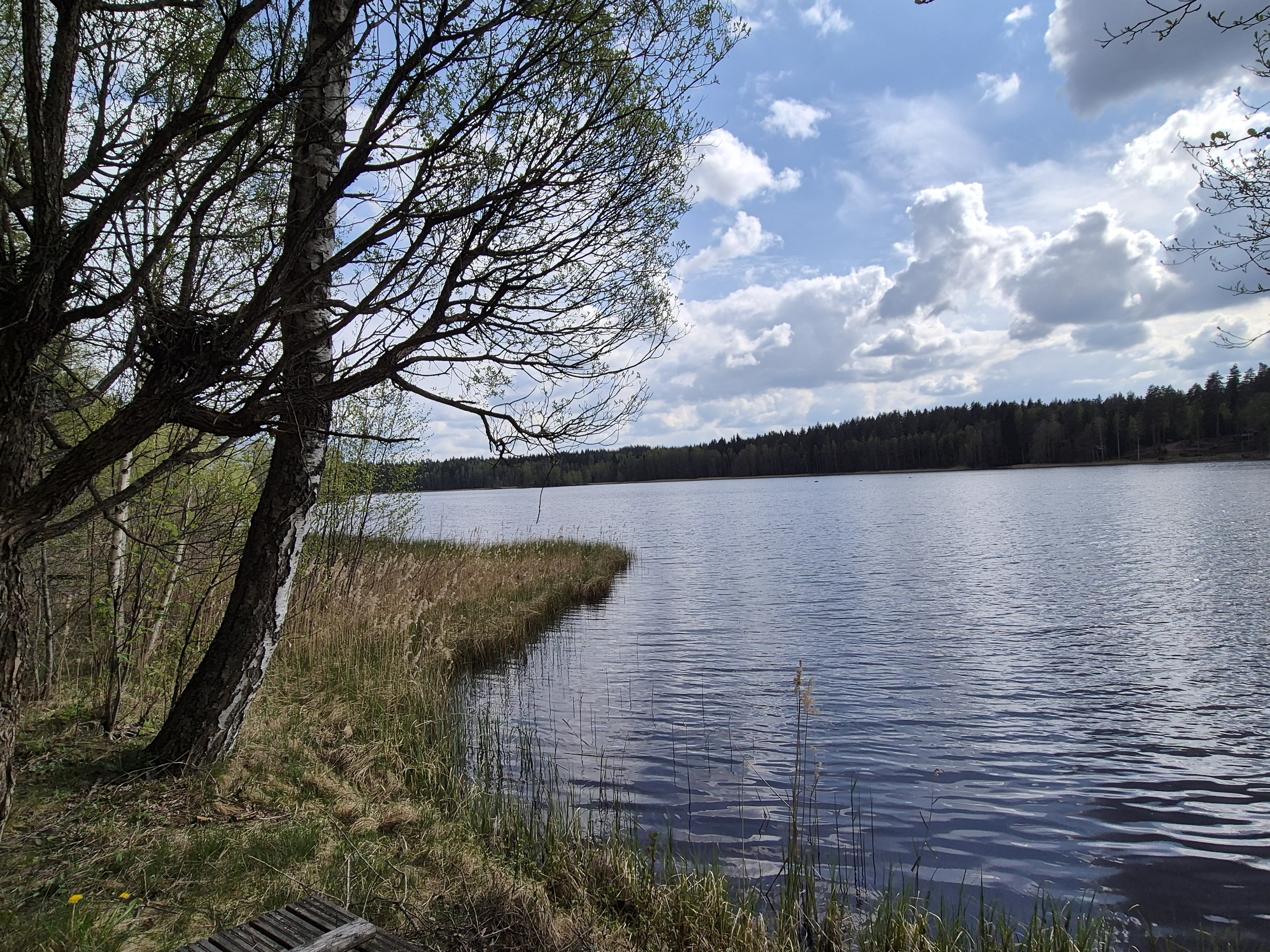 Kirventeenmetsätie 165 A, Lemi