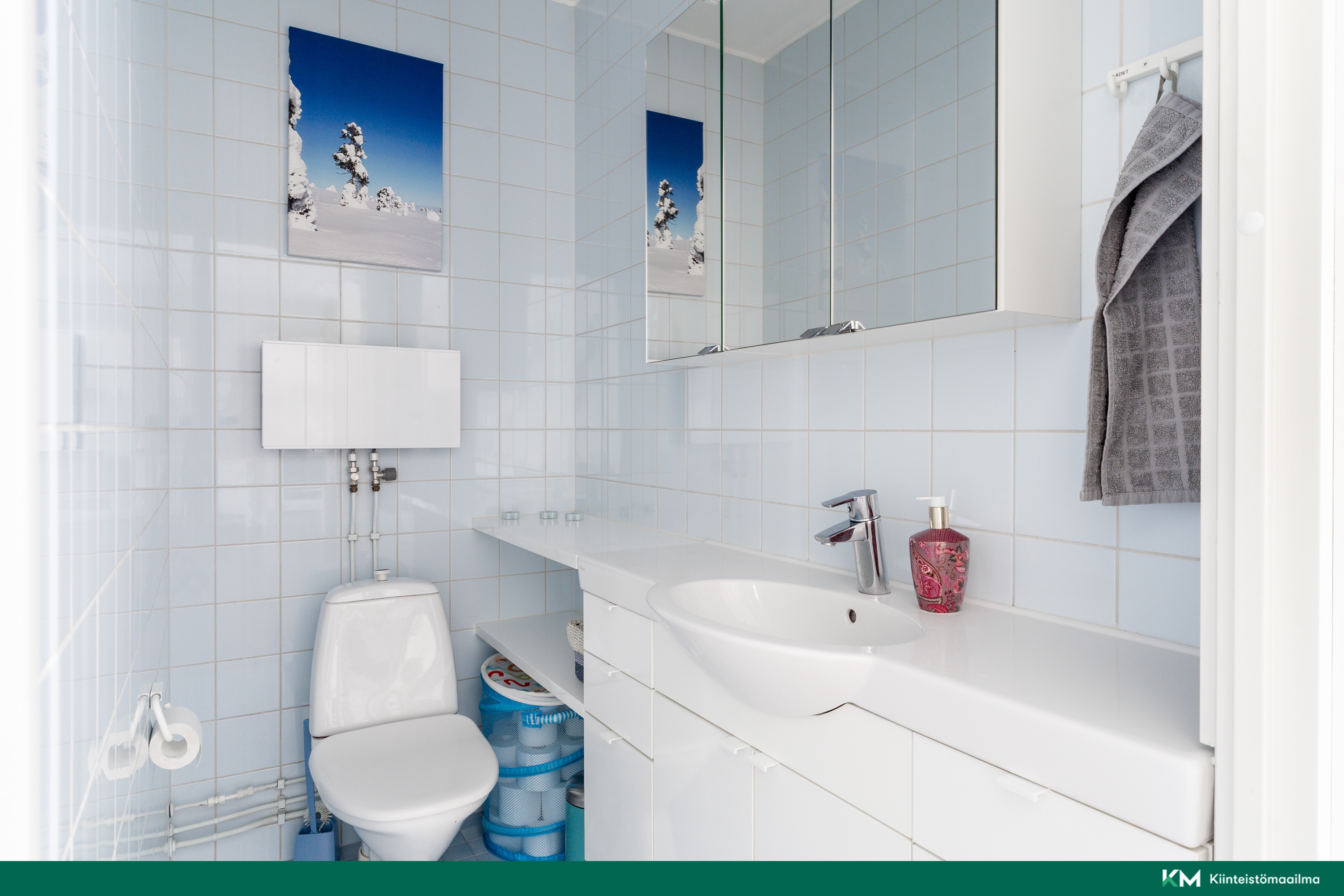 Erillinen wc