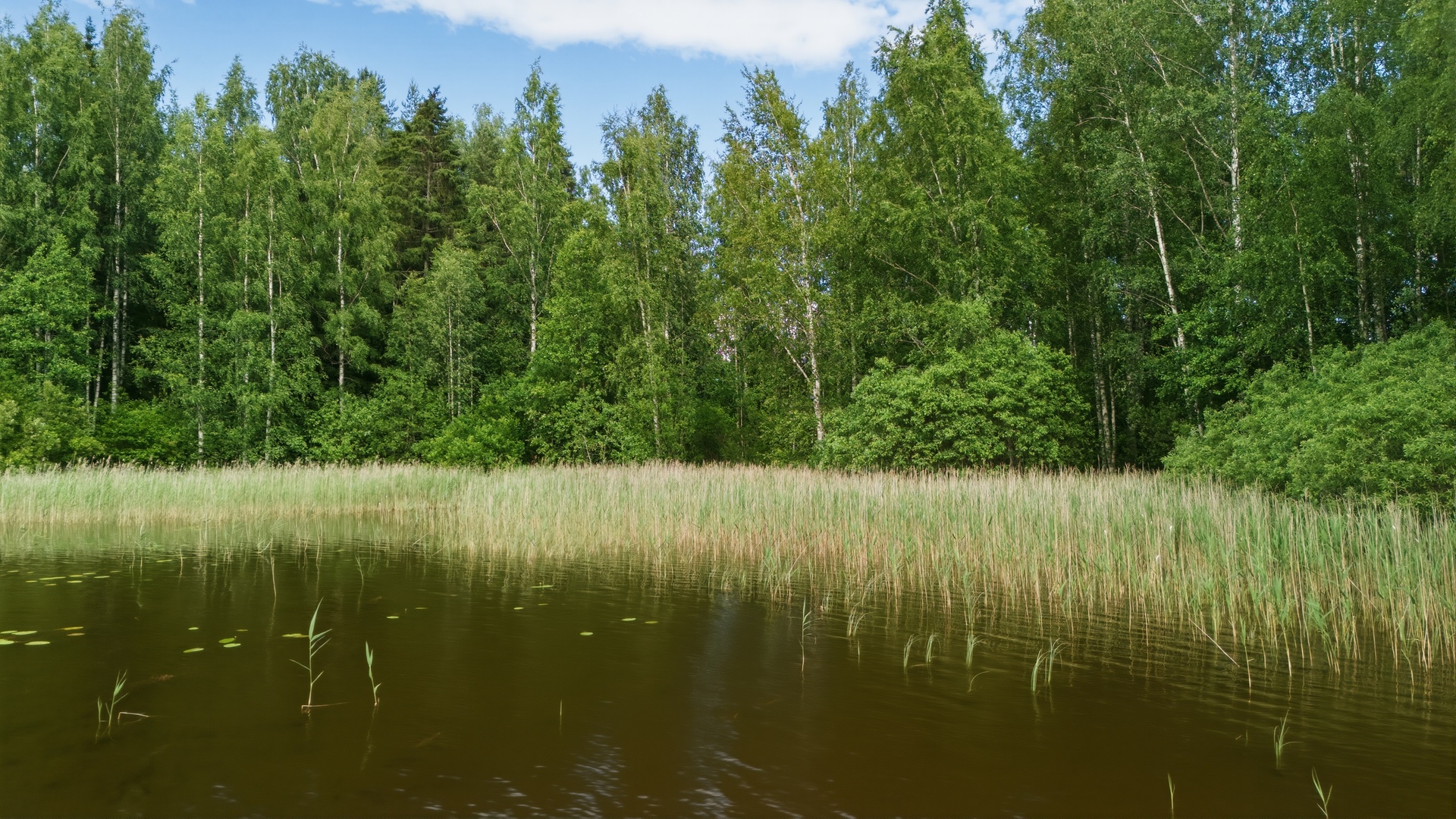 Jukajärventie 66, Verla, Kouvola