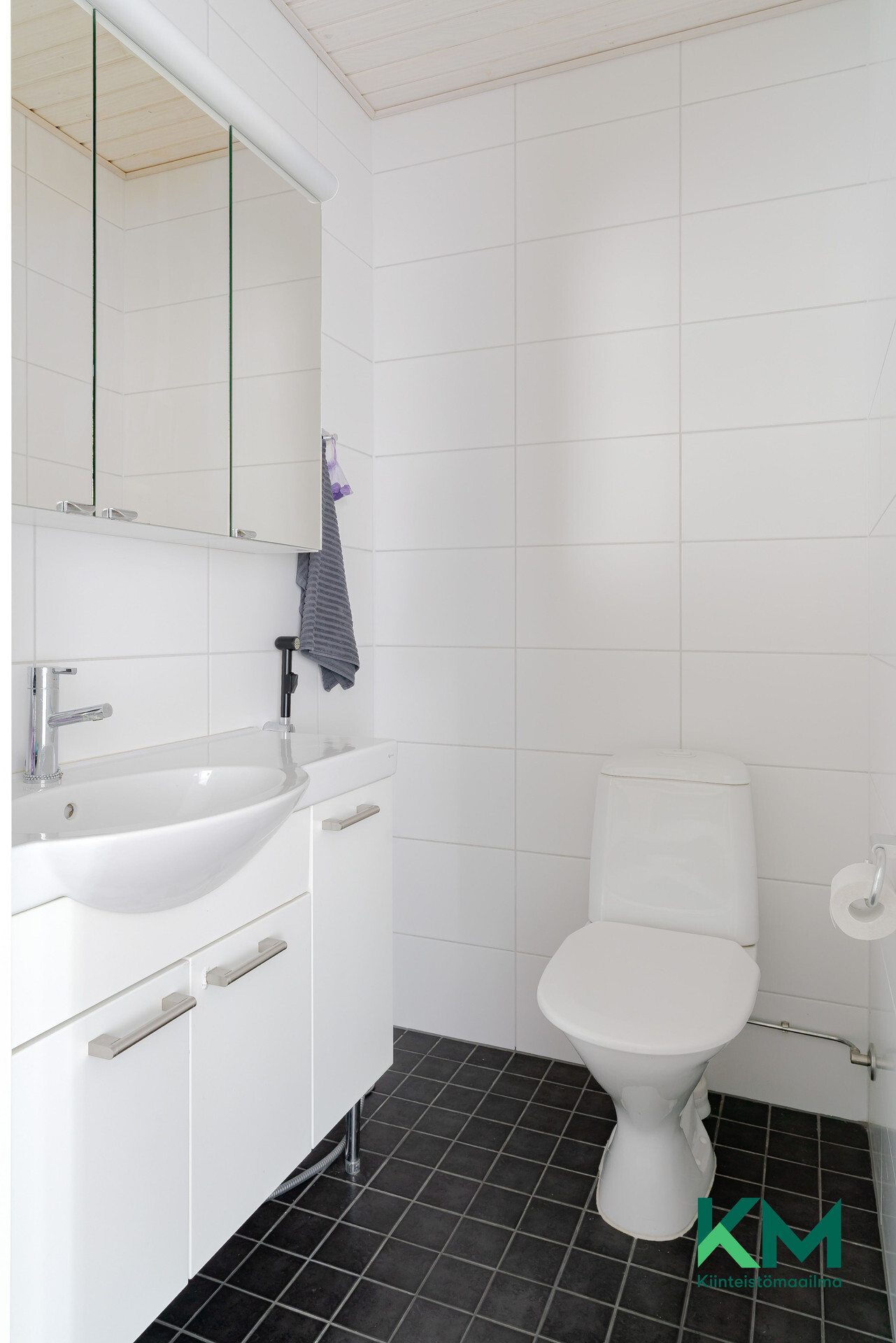 Erillinen wc