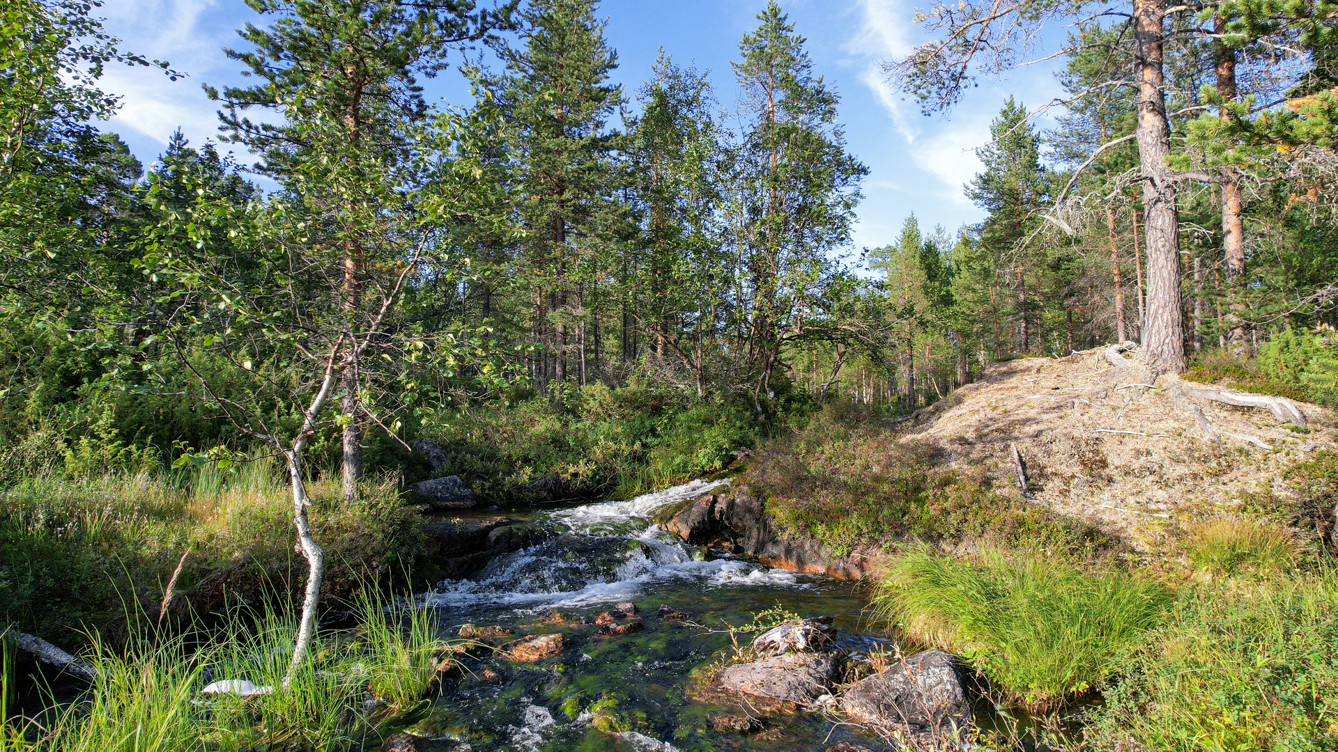 Puro virtaa kiinteistön lähettyvillä