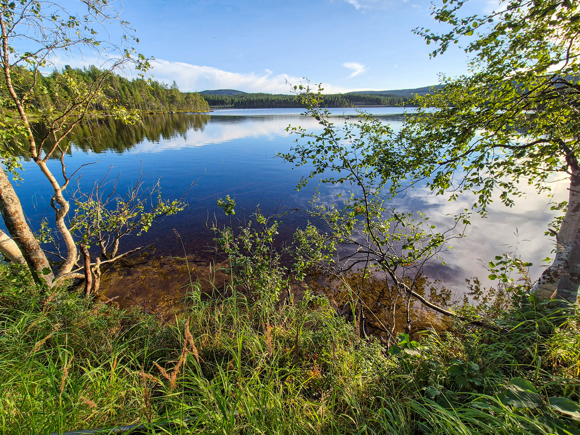 Talvitupajärvi