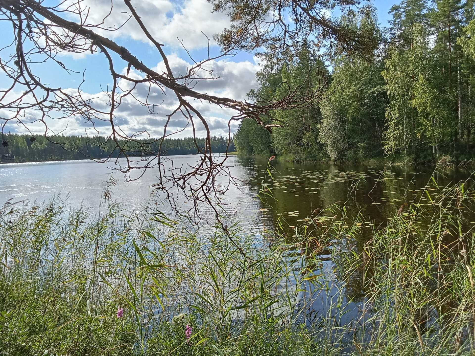 Kiiskiniementie -, Lahnasalo, Mikkeli