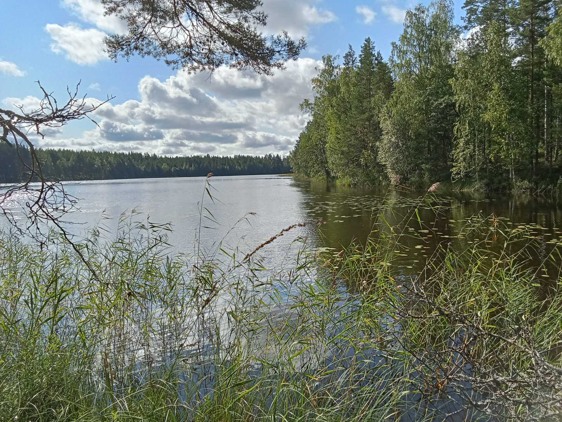 Kiiskiniementie -, Lahnasalo, Mikkeli