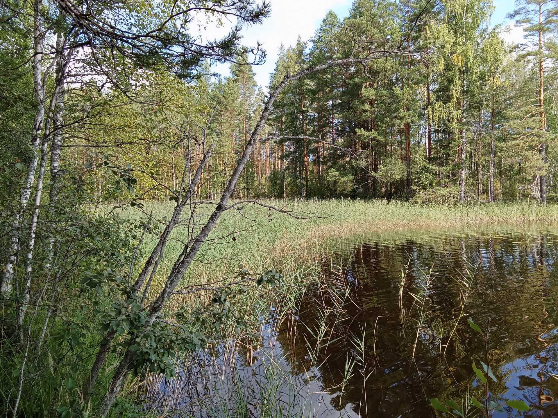 Kiiskiniementie -, Lahnasalo, Mikkeli