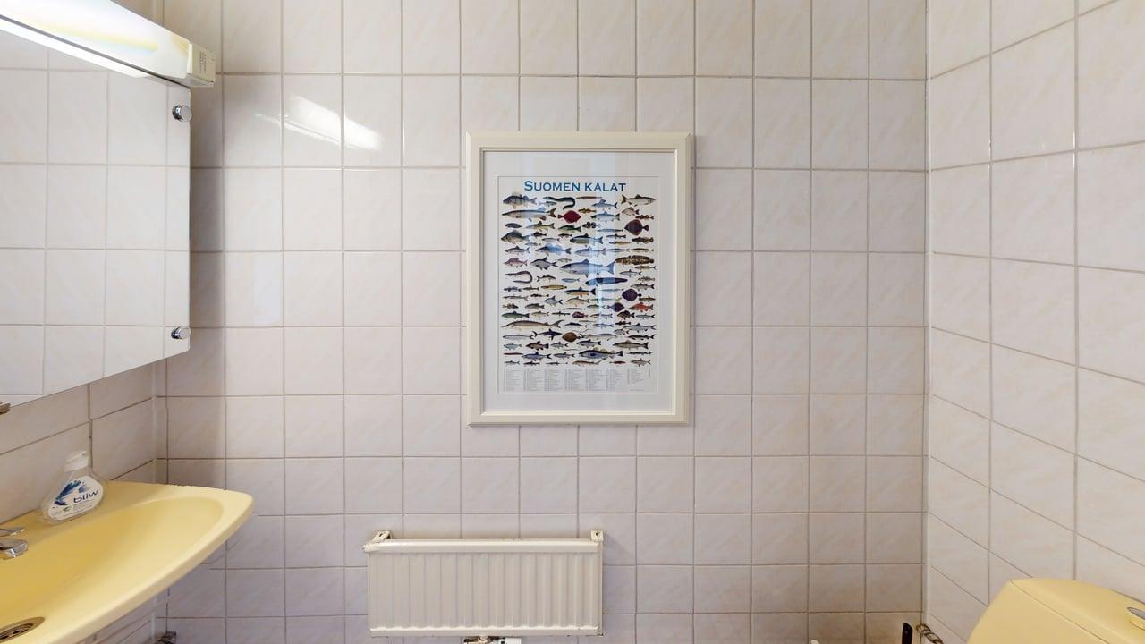 Pesuhuoneen vieressä oleva erillinen WC