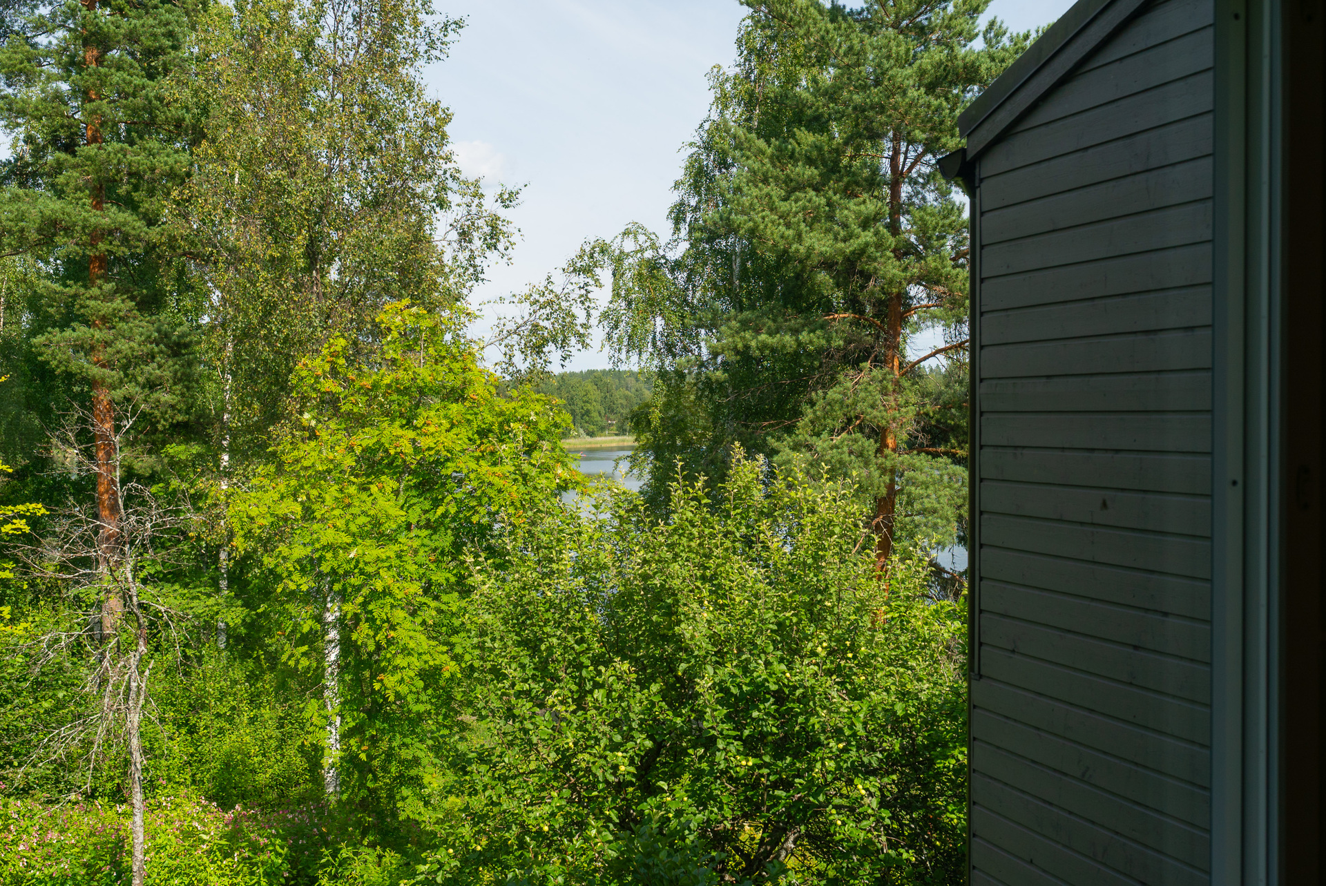 Sinivuokko 8 , Ristikivi, Jyväskylä