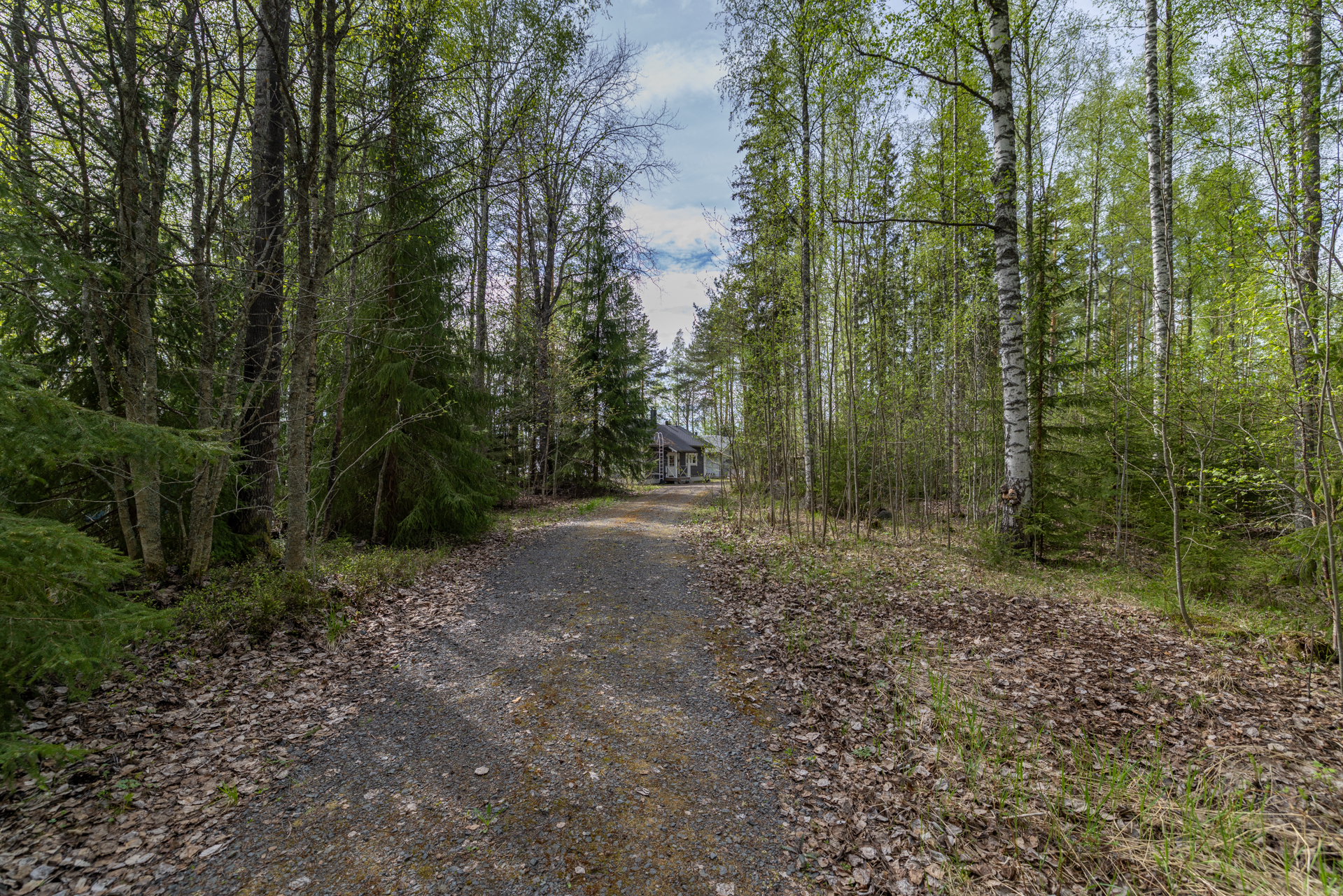 Hirsikankaantie 123, Kangasniemi