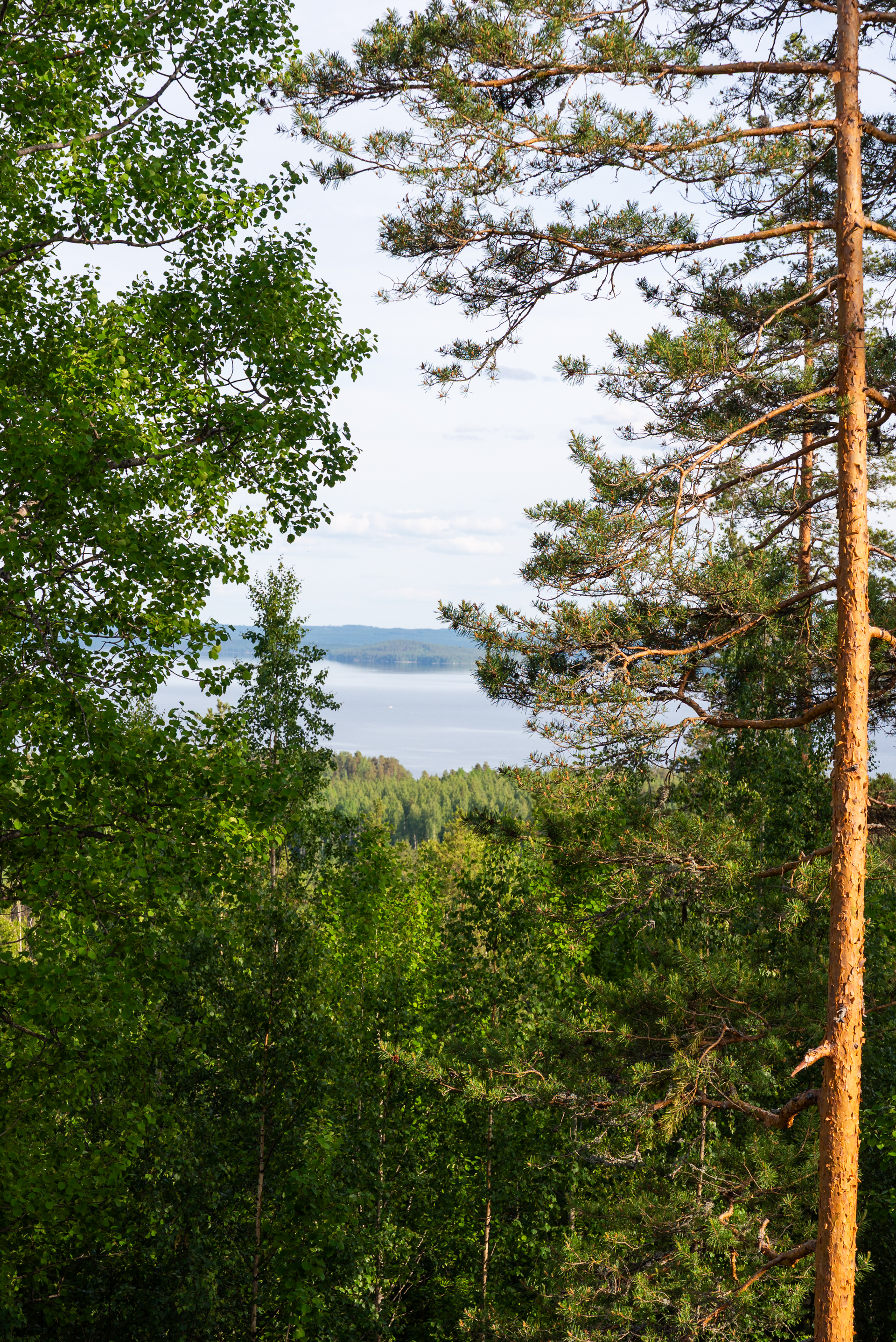 Riihilenkki 7, Muurame