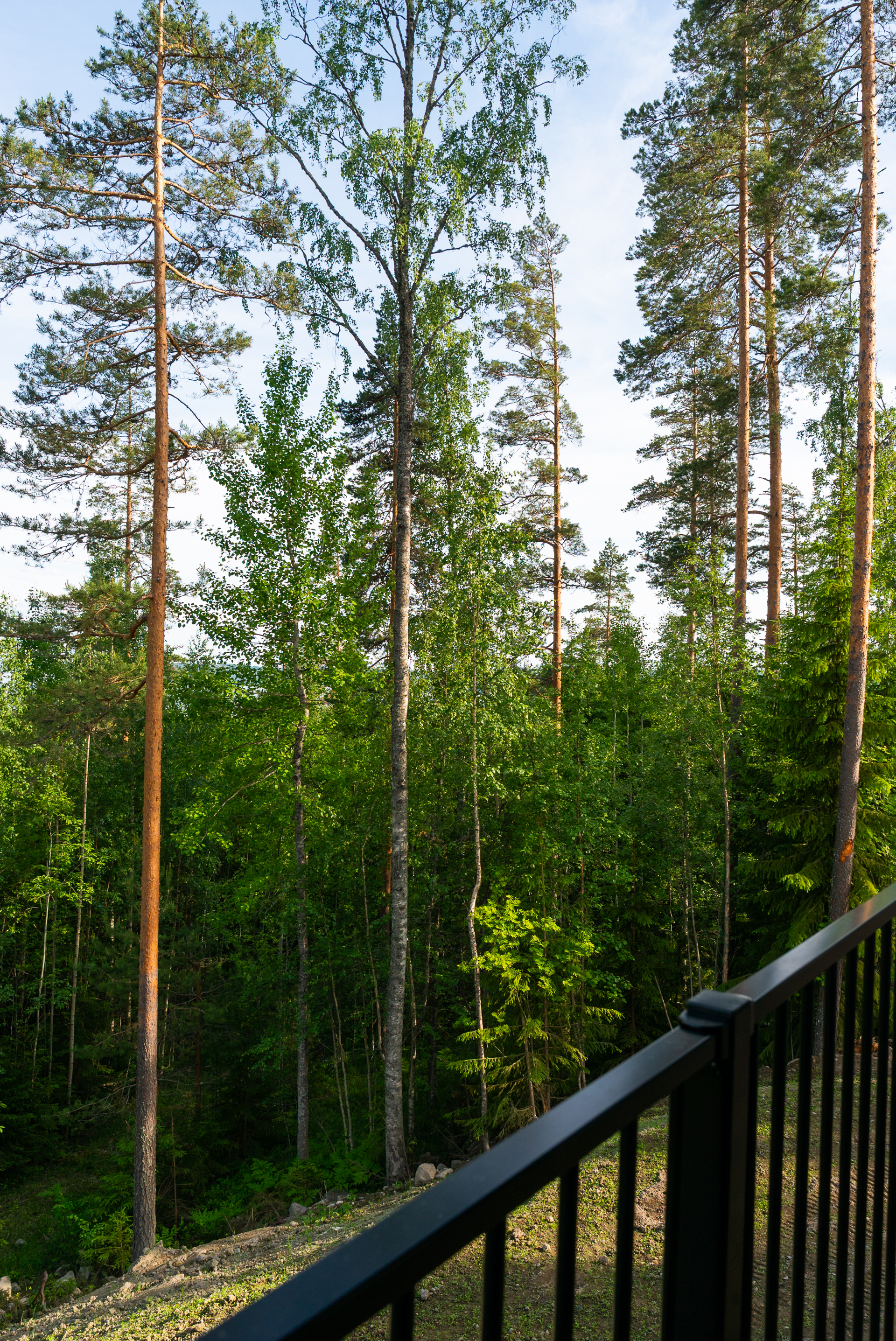 Riihilenkki 7, Muurame