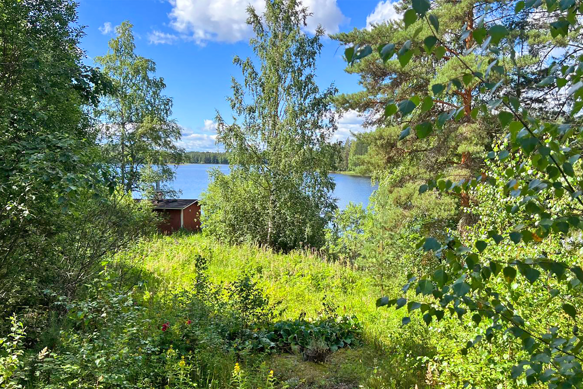 Pihapiiriä rantasaunan suuntaan.
