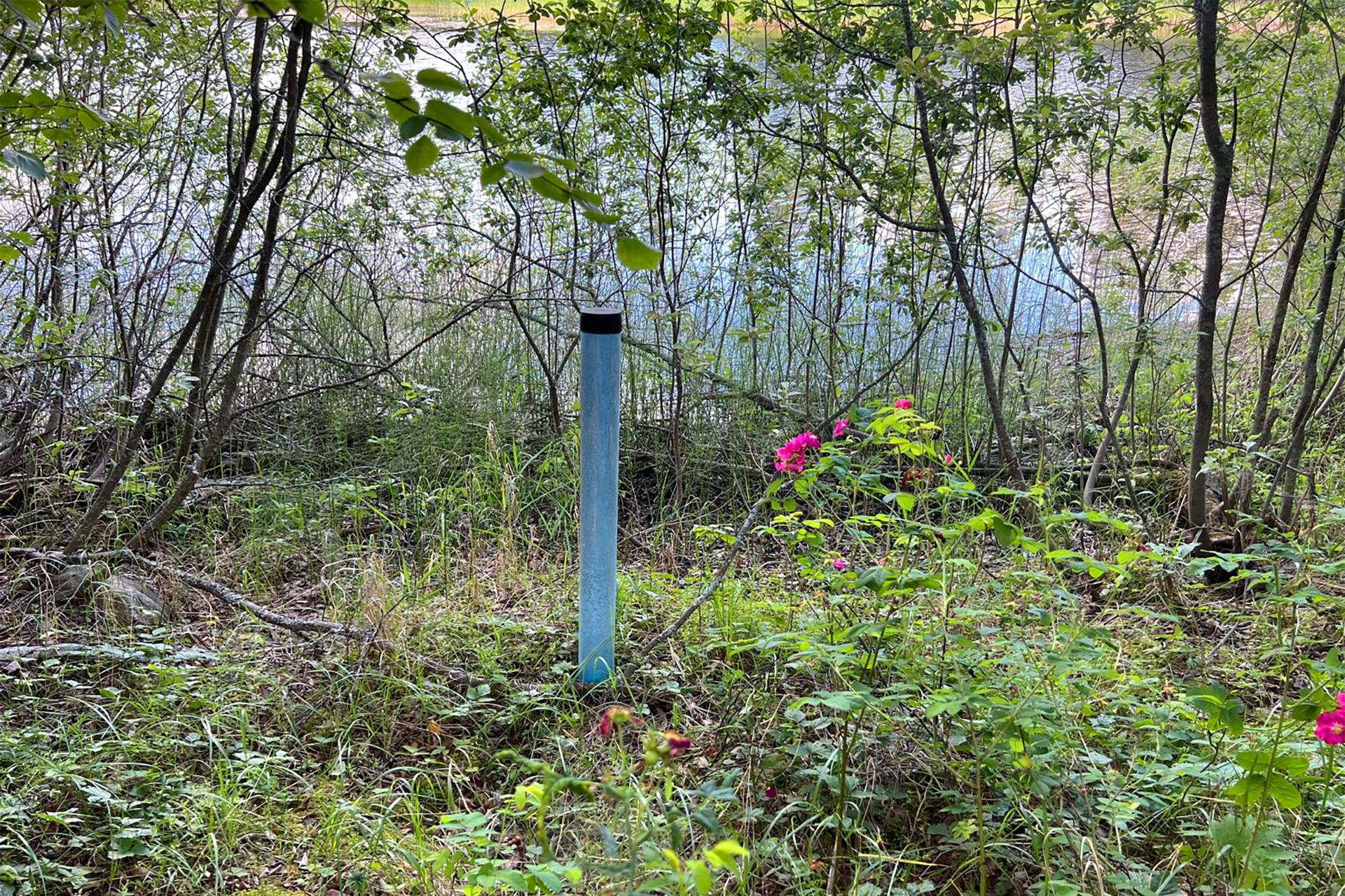 Vesiosuuskunnanliittymä