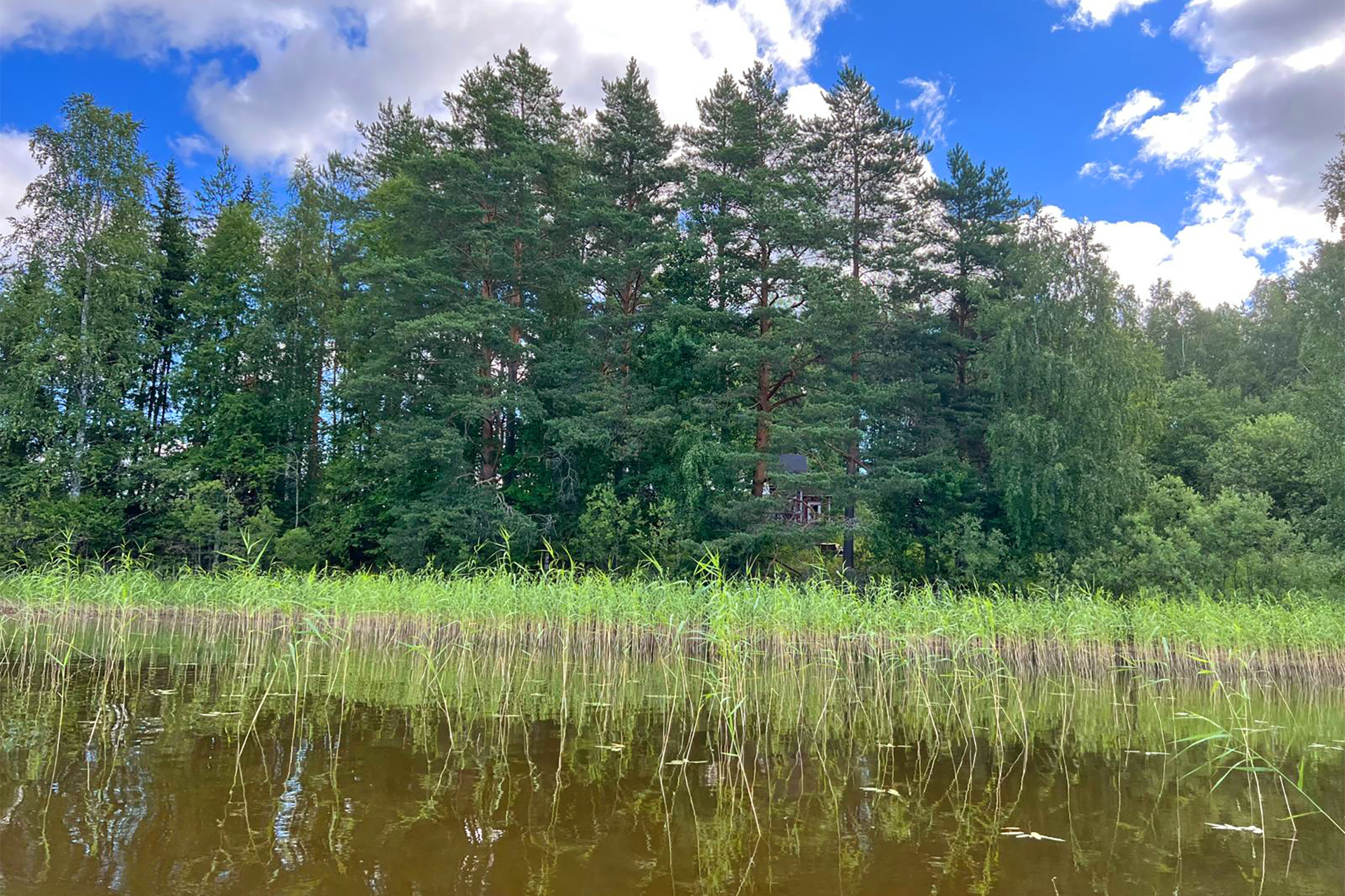 Saaren rantaa länsipuolelta.
