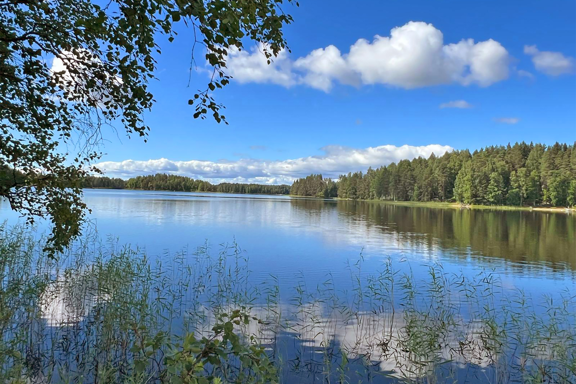 Näkymä Kohmanvedelle etelään.