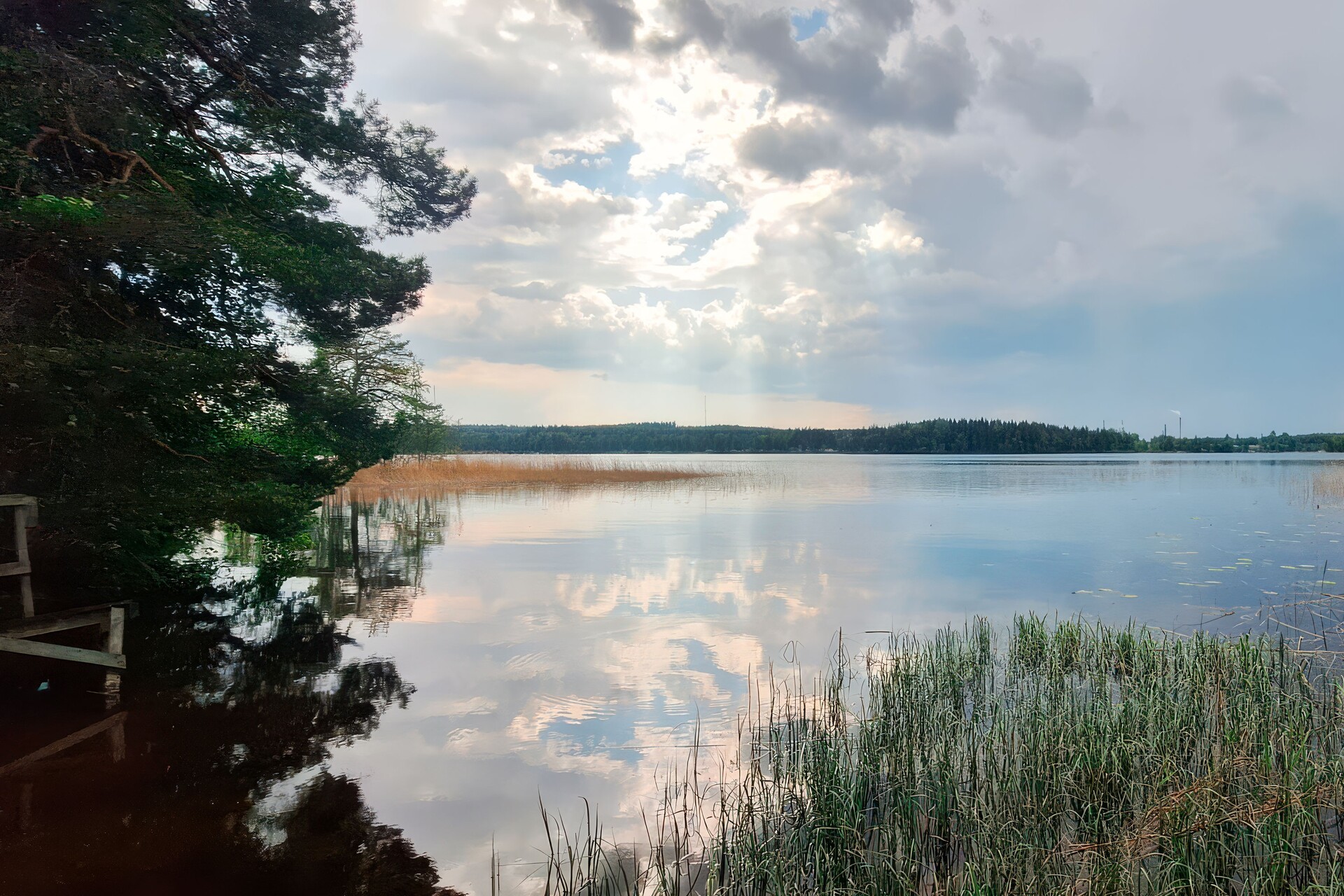 Ranta