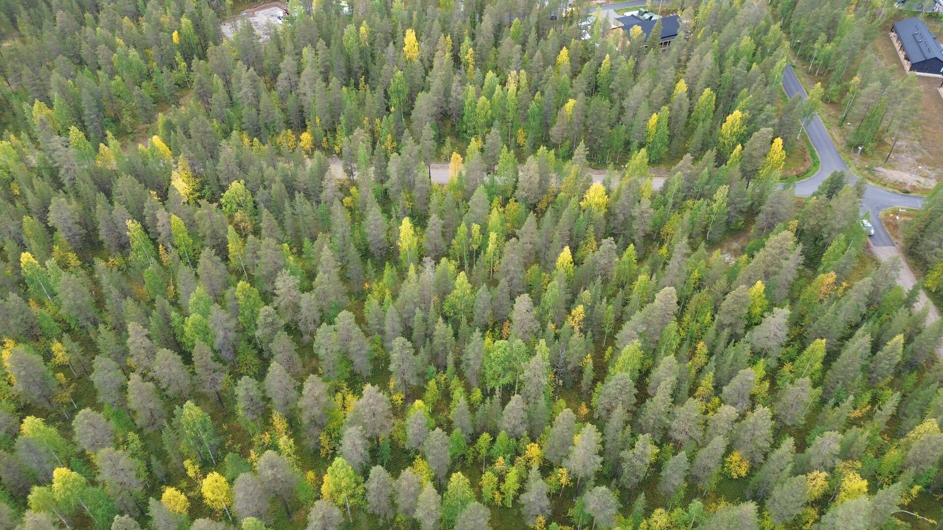 Akantie 5, Sirkka, Kittilä