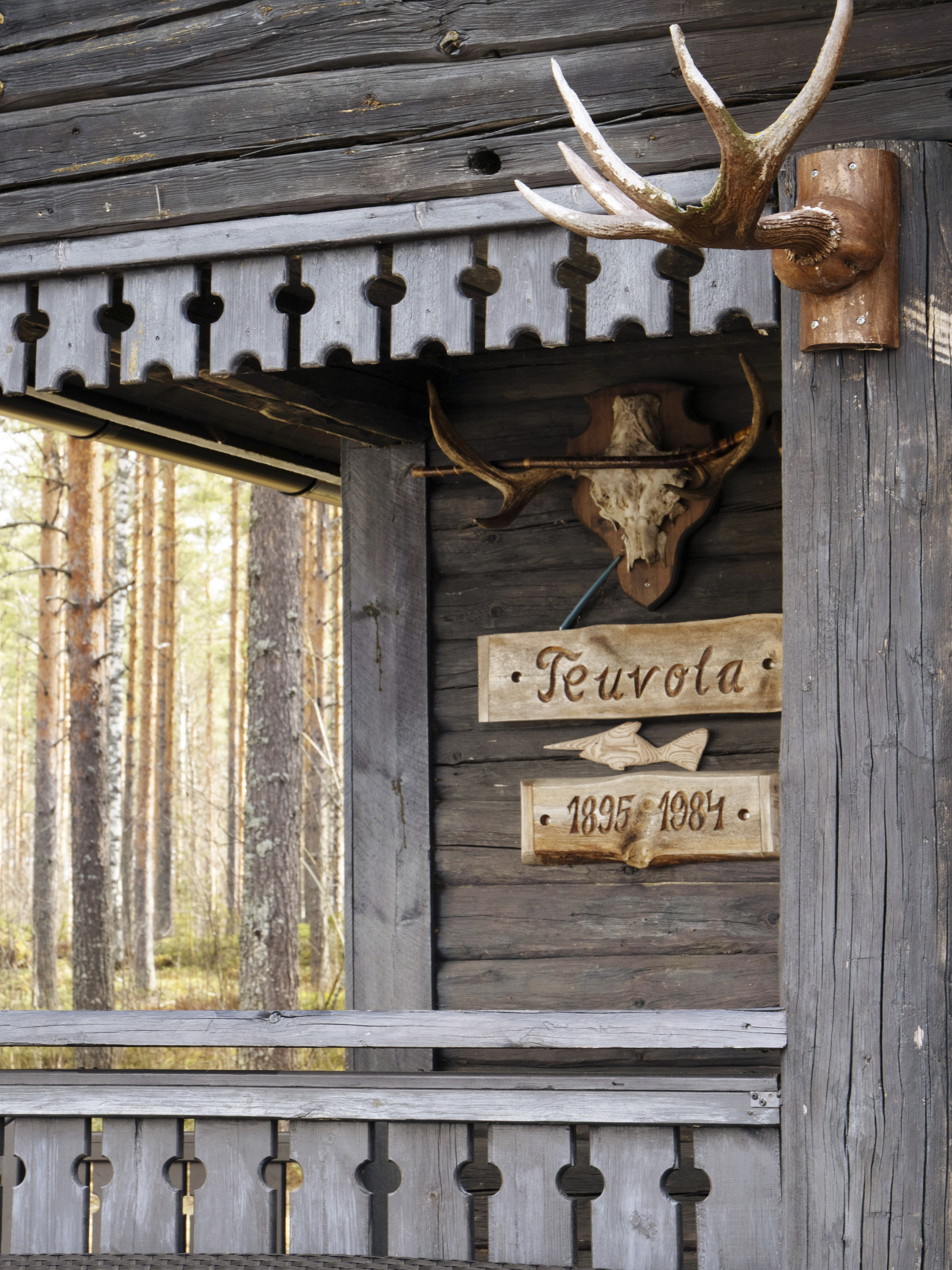 Tervalammentie 16, Polvijärvi