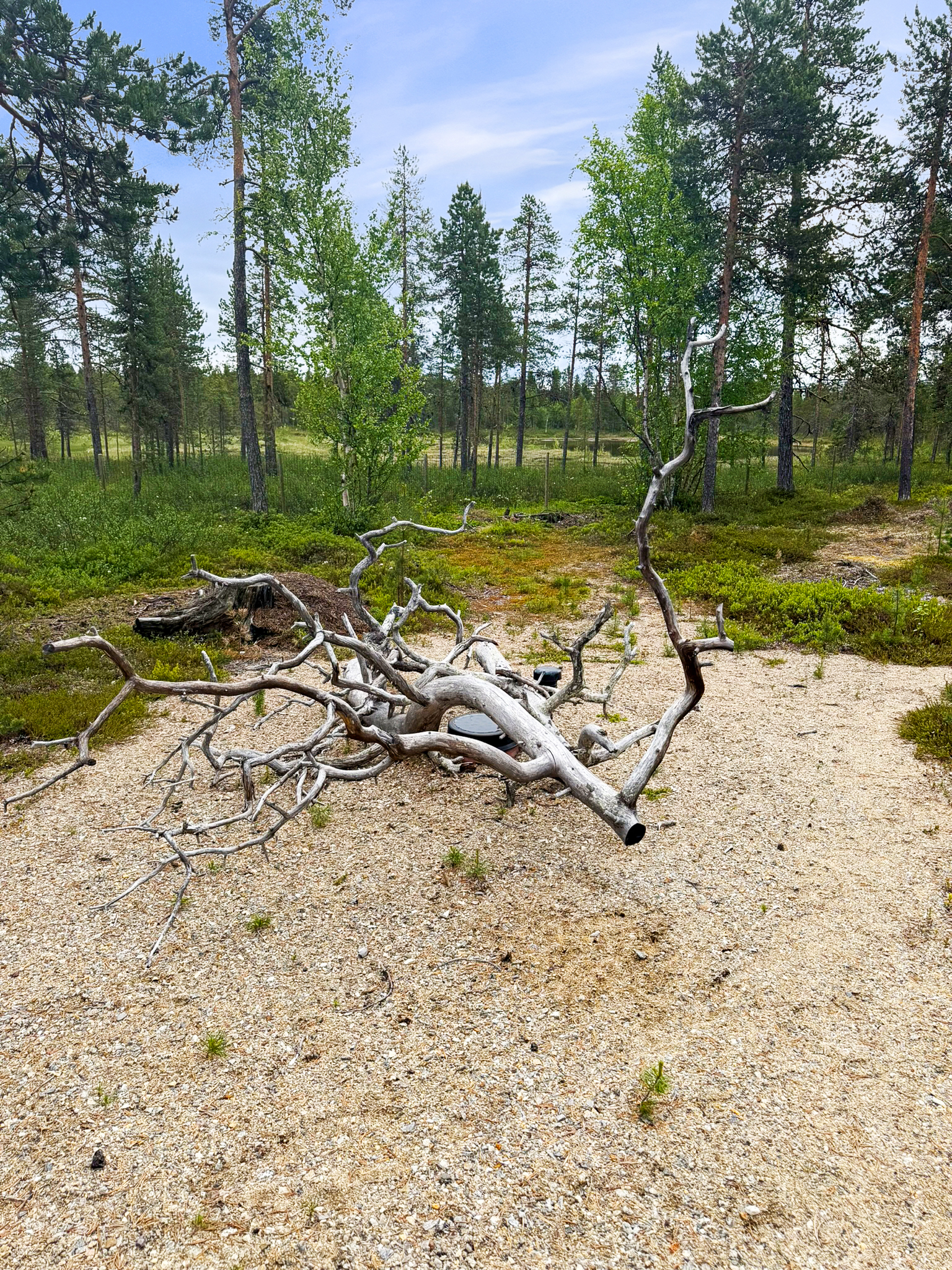 Saunarakennuksella oma imeytyskenttä