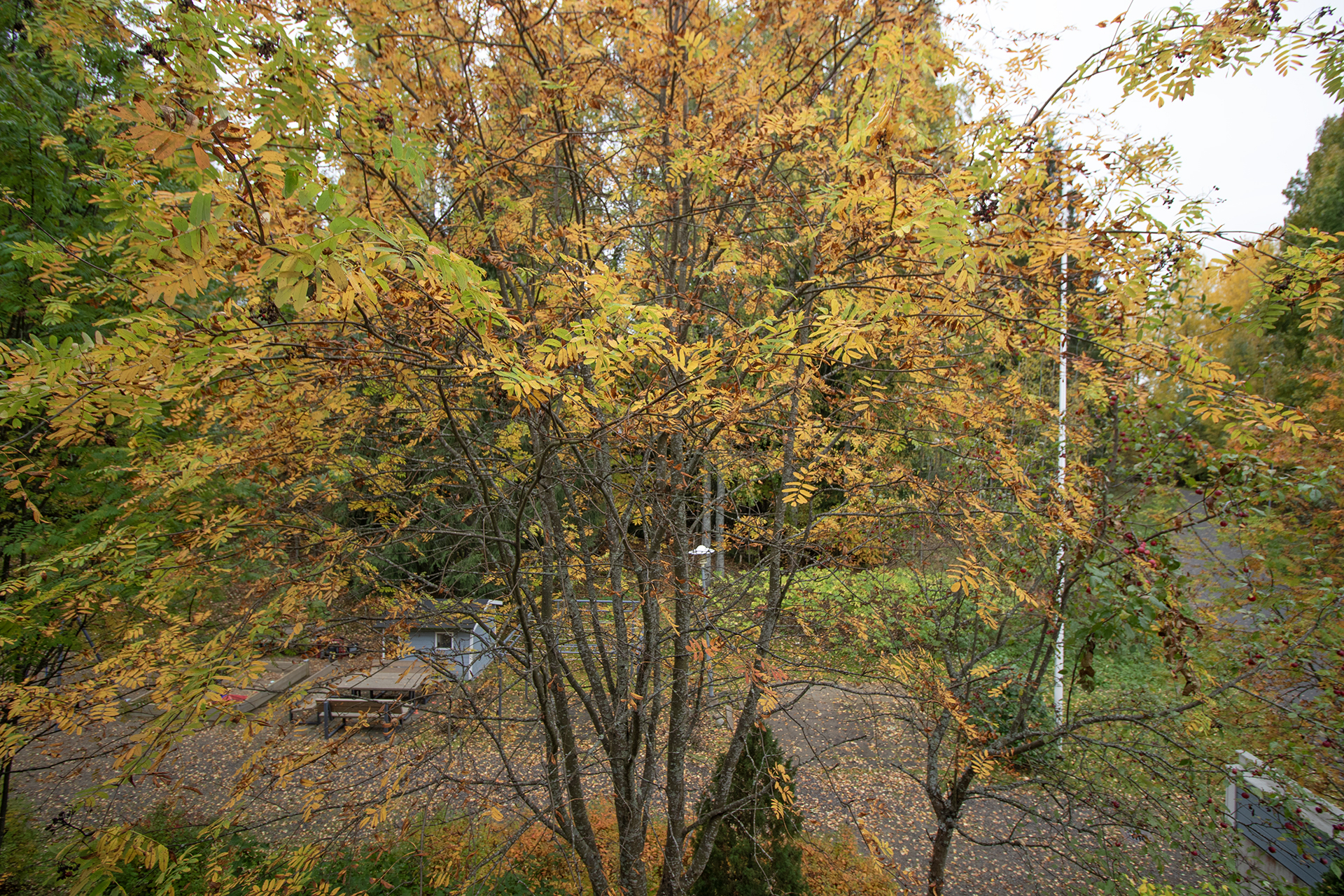 Hauenkoukku 10, Särkilahti, Kuopio