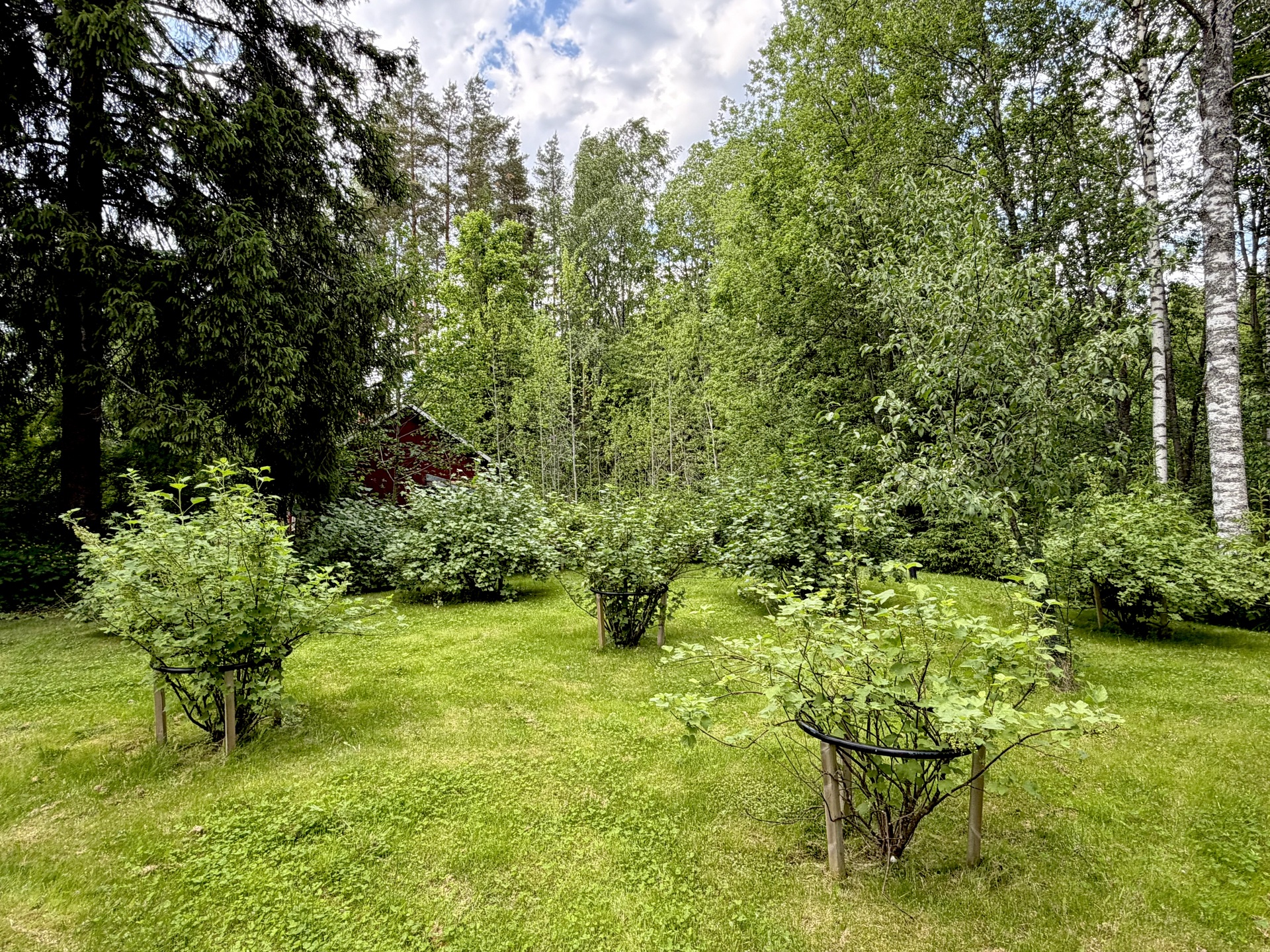Ludviginkuja 2, Iittala, Hämeenlinna