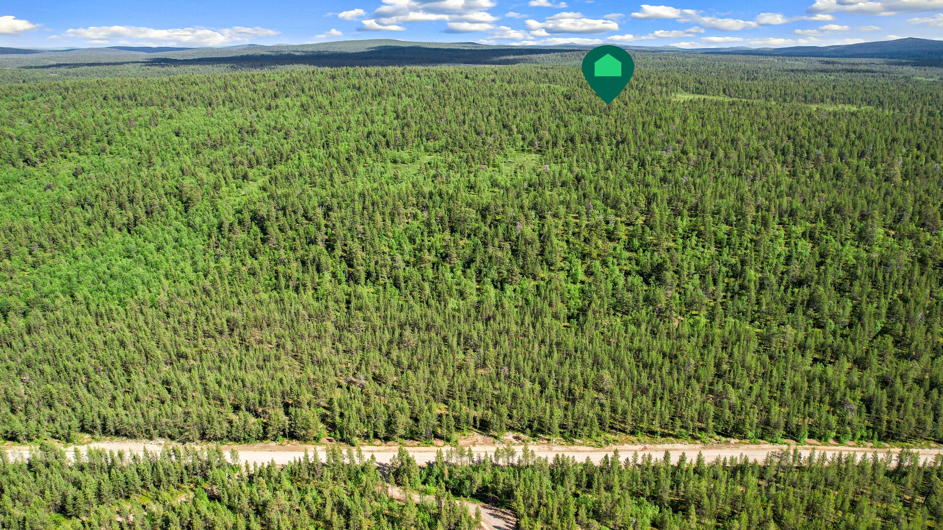 Metsäpalstan sijainti suuntaa antavasti Angelintien toisella puolella