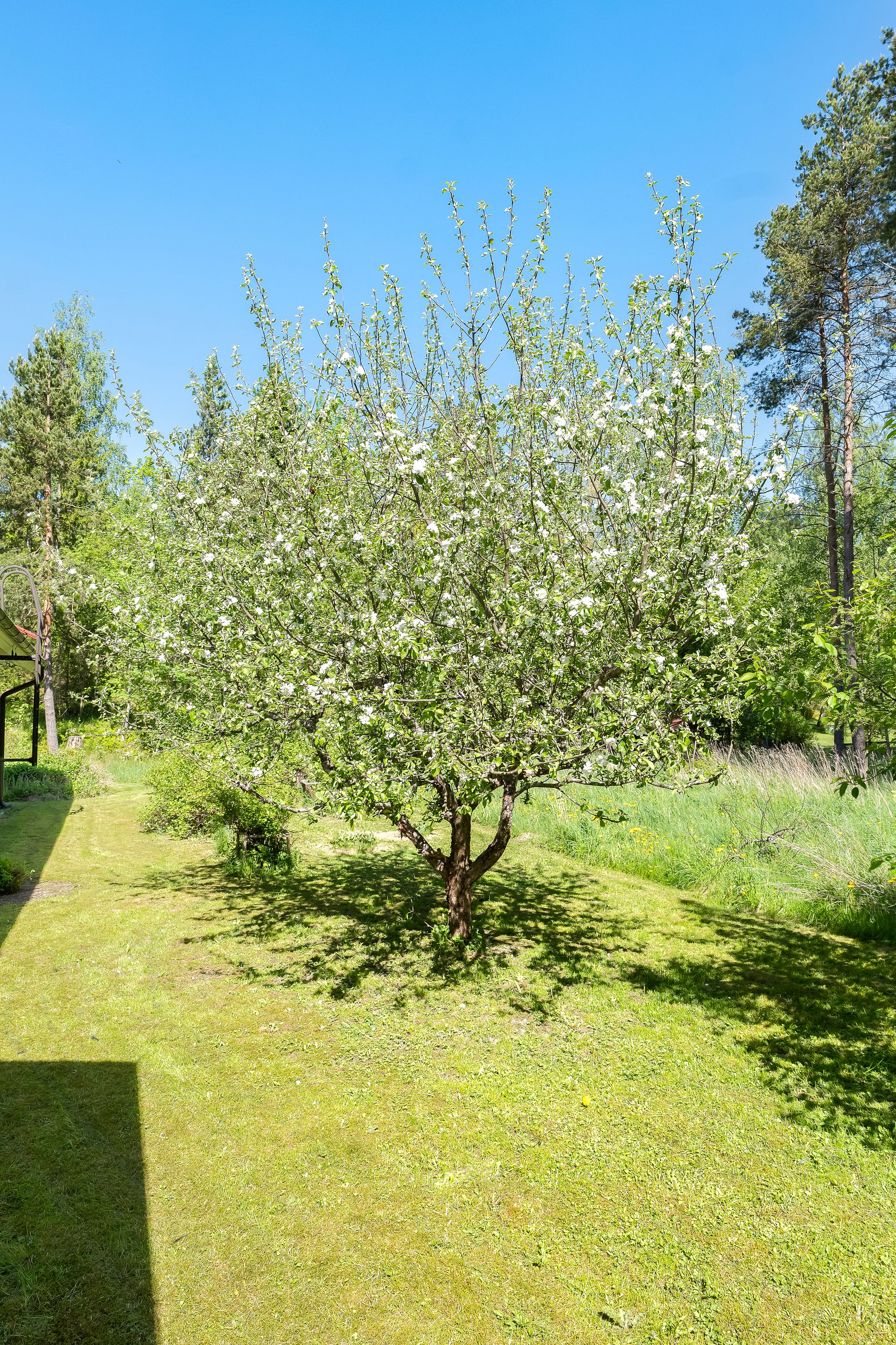 Vartiotuvantie 7, Luoma, Kirkkonummi