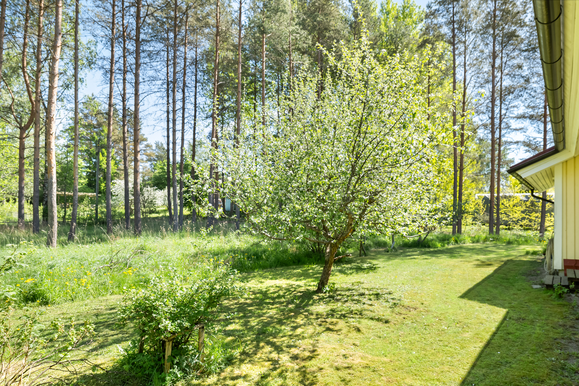 Vartiotuvantie 7, Luoma, Kirkkonummi