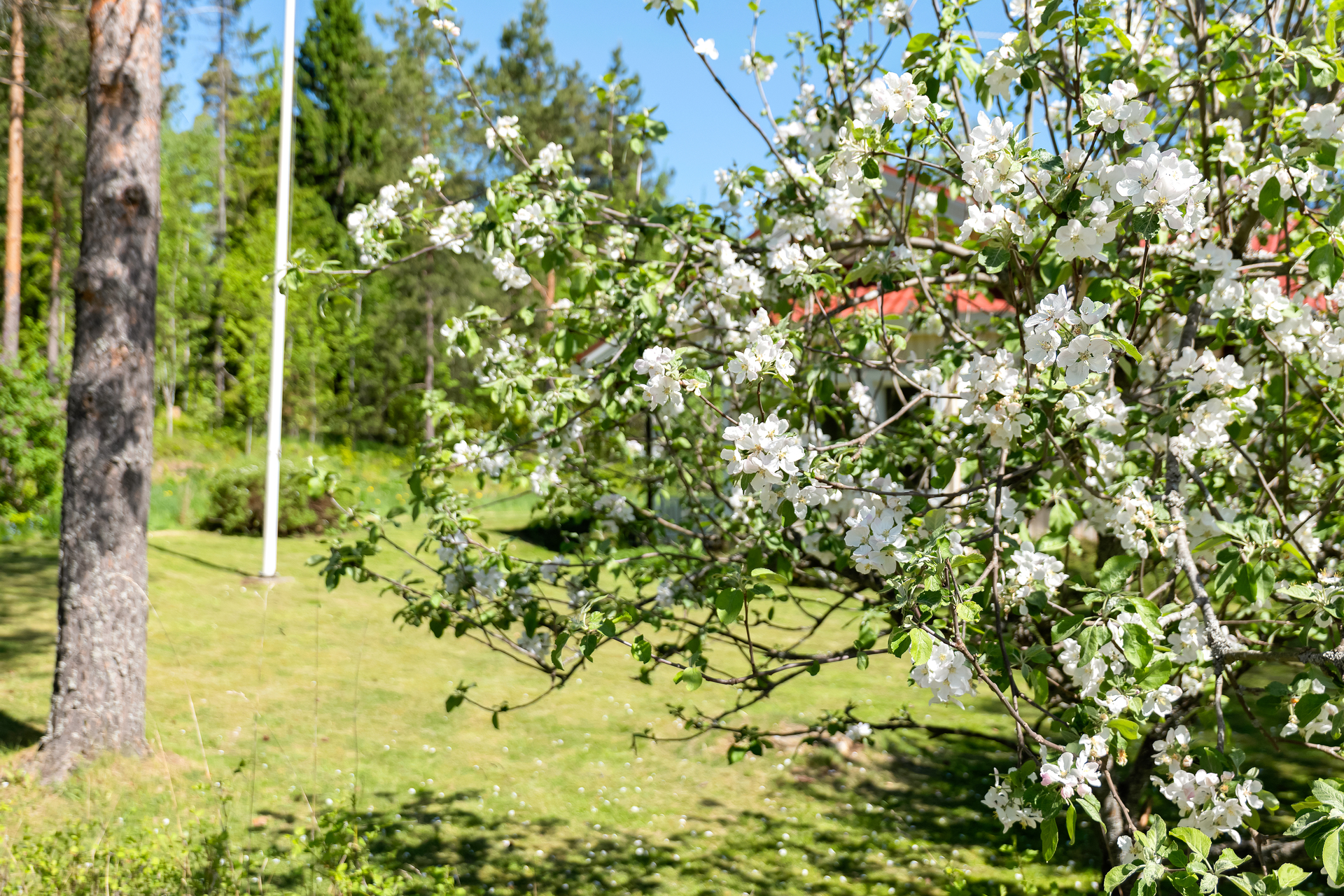 Vartiotuvantie 7, Luoma, Kirkkonummi