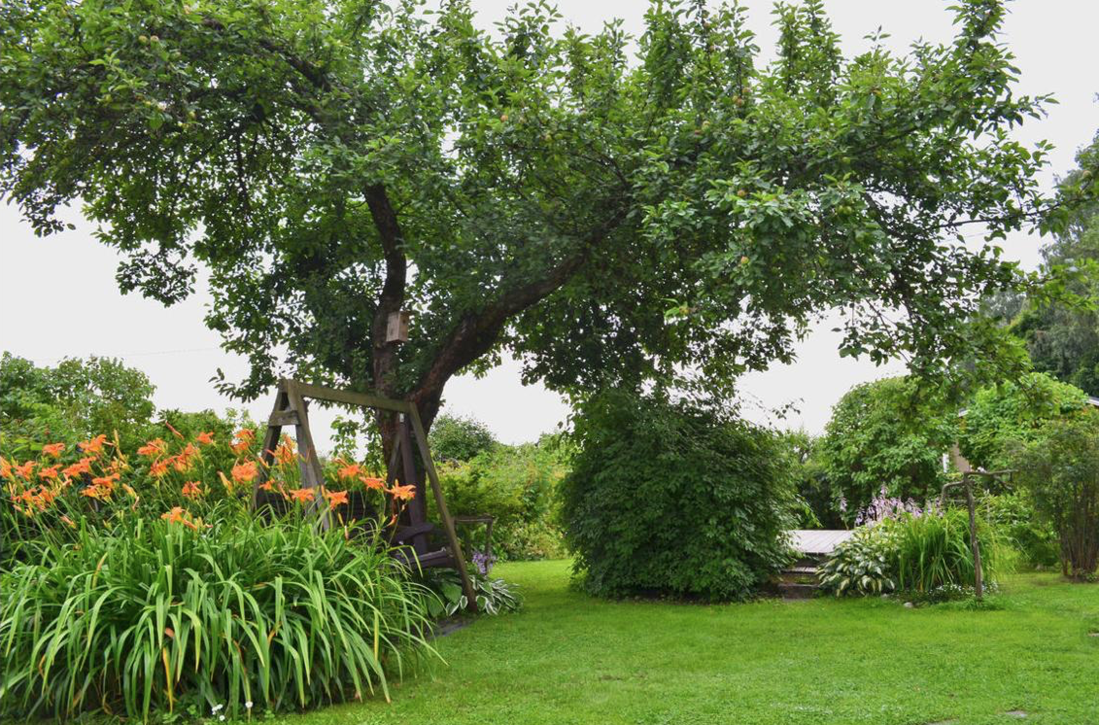 Talin siirtolapuutarha, Pitäjänmäentie 32, Metsäpolku 20, Pitäjänmäki, Helsinki