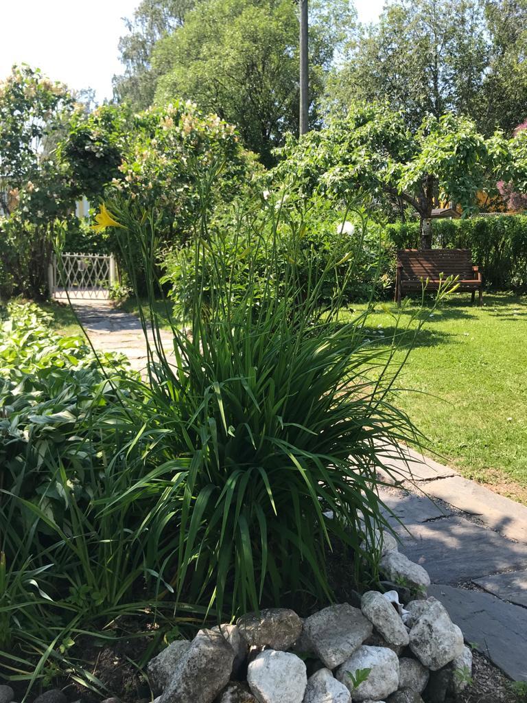 Talin siirtolapuutarha, Pitäjänmäentie 32, Metsäpolku 20, Pitäjänmäki, Helsinki