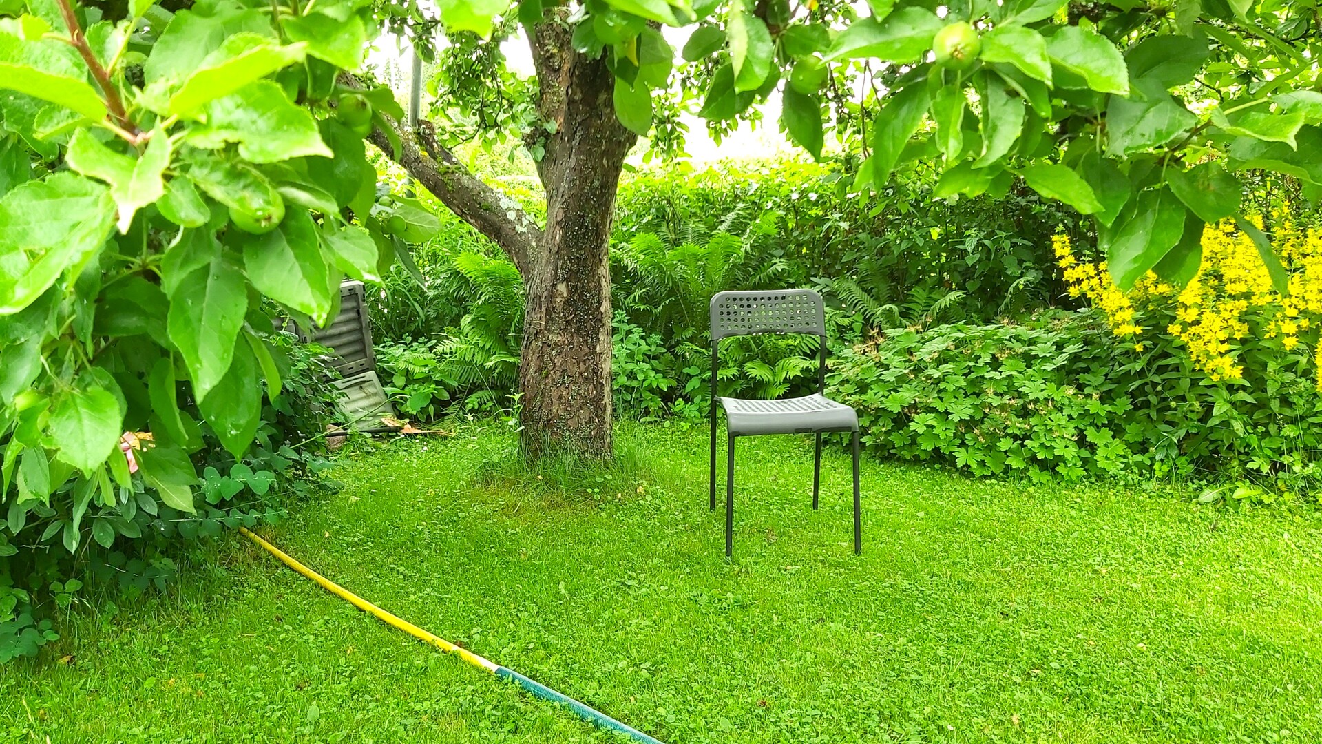 Marjaniemen Siirtolapuutarha, Omenatie 125, Marjaniemi, Helsinki