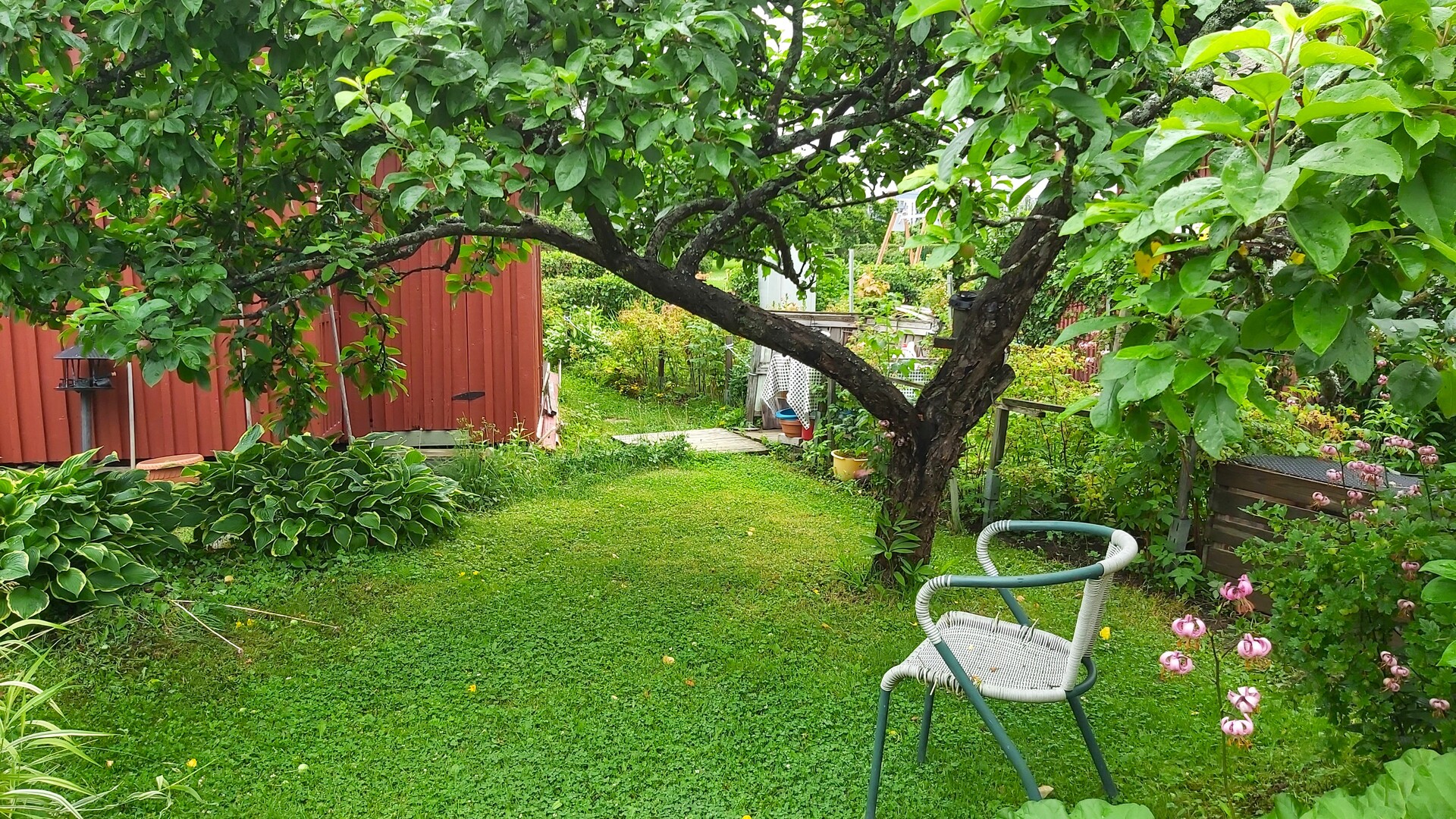Marjaniemen Siirtolapuutarha, Omenatie 125, Marjaniemi, Helsinki