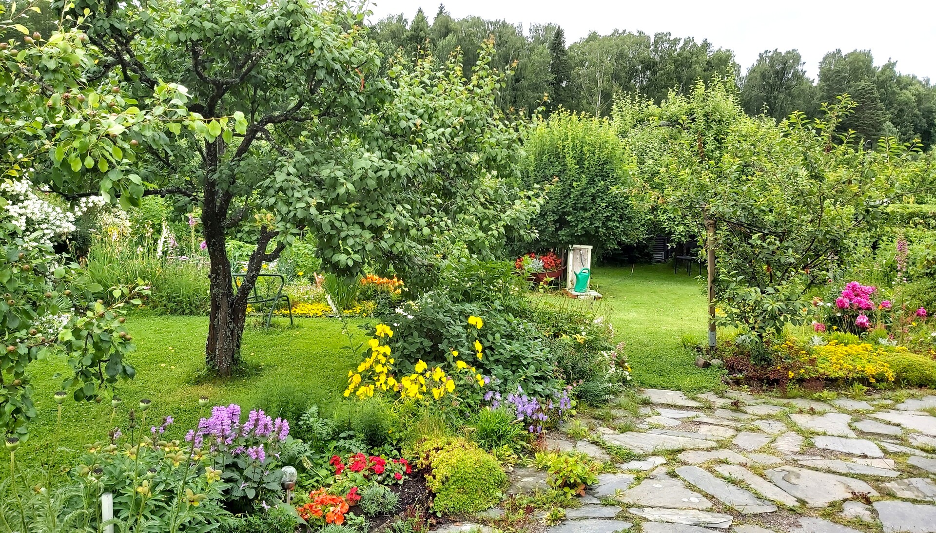Marjaniemen Siirtolapuutarha, Omenatie 125, Marjaniemi, Helsinki