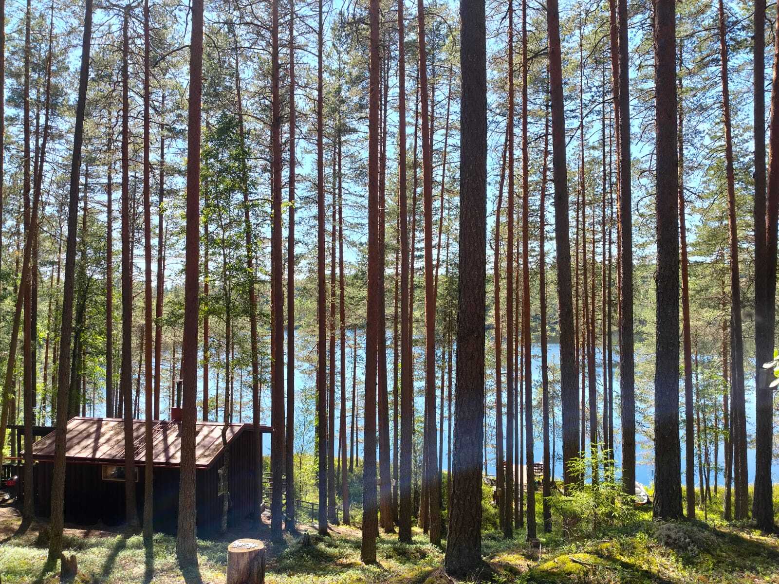 Harjunlammintie 26, Turenki, Janakkala