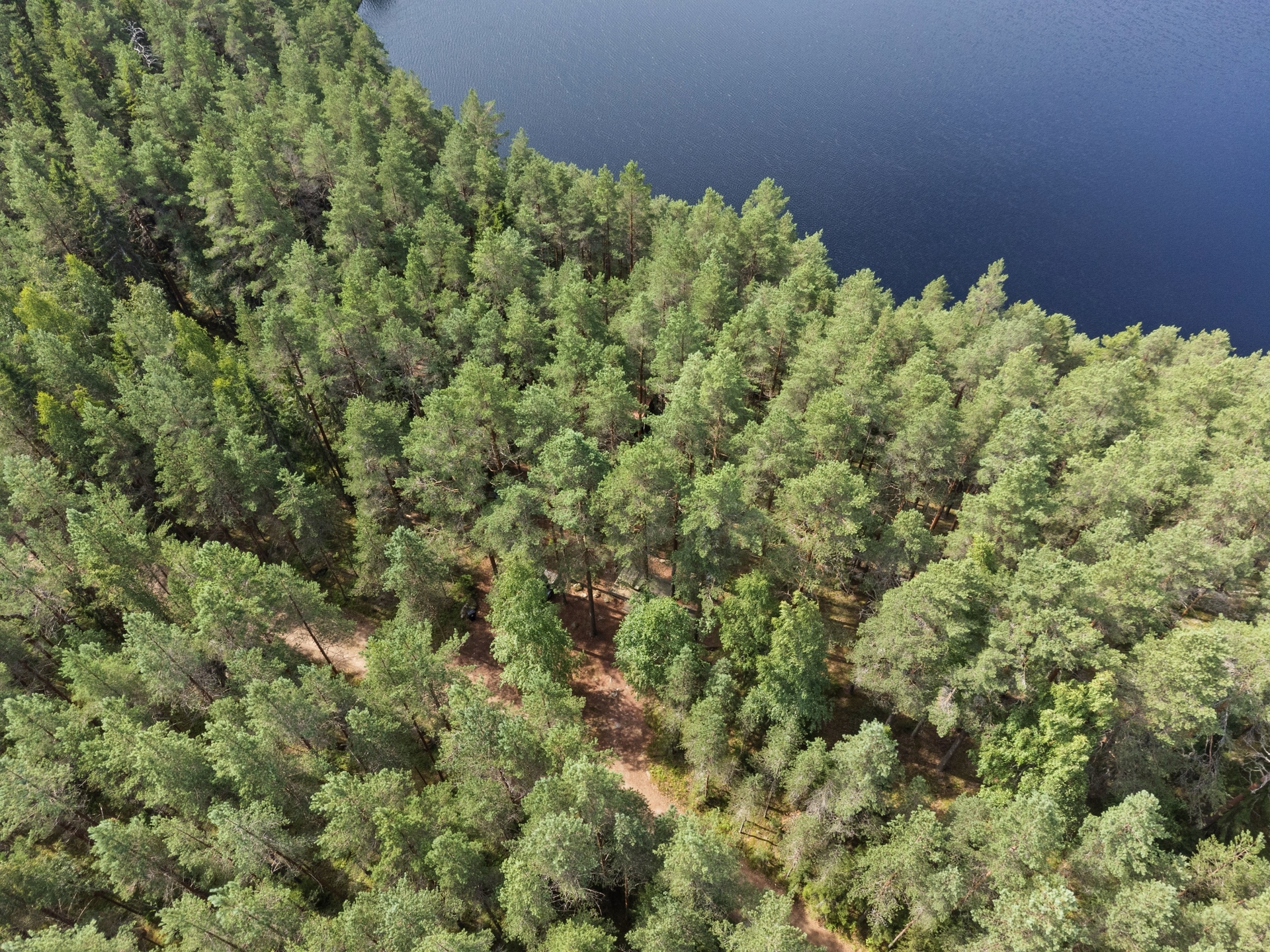 Harjunlammintie 26, Turenki, Janakkala