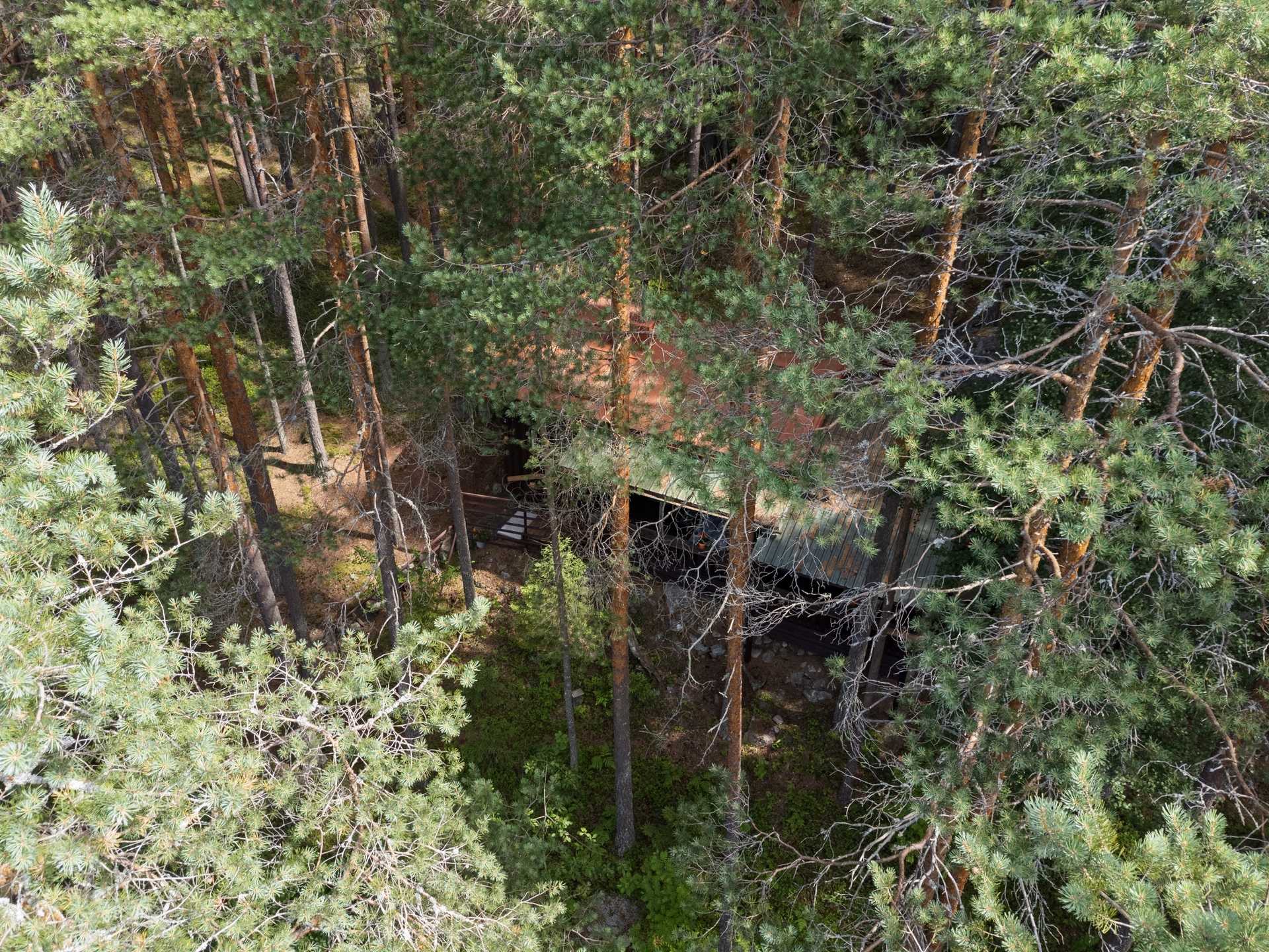 Harjunlammintie 26, Turenki, Janakkala