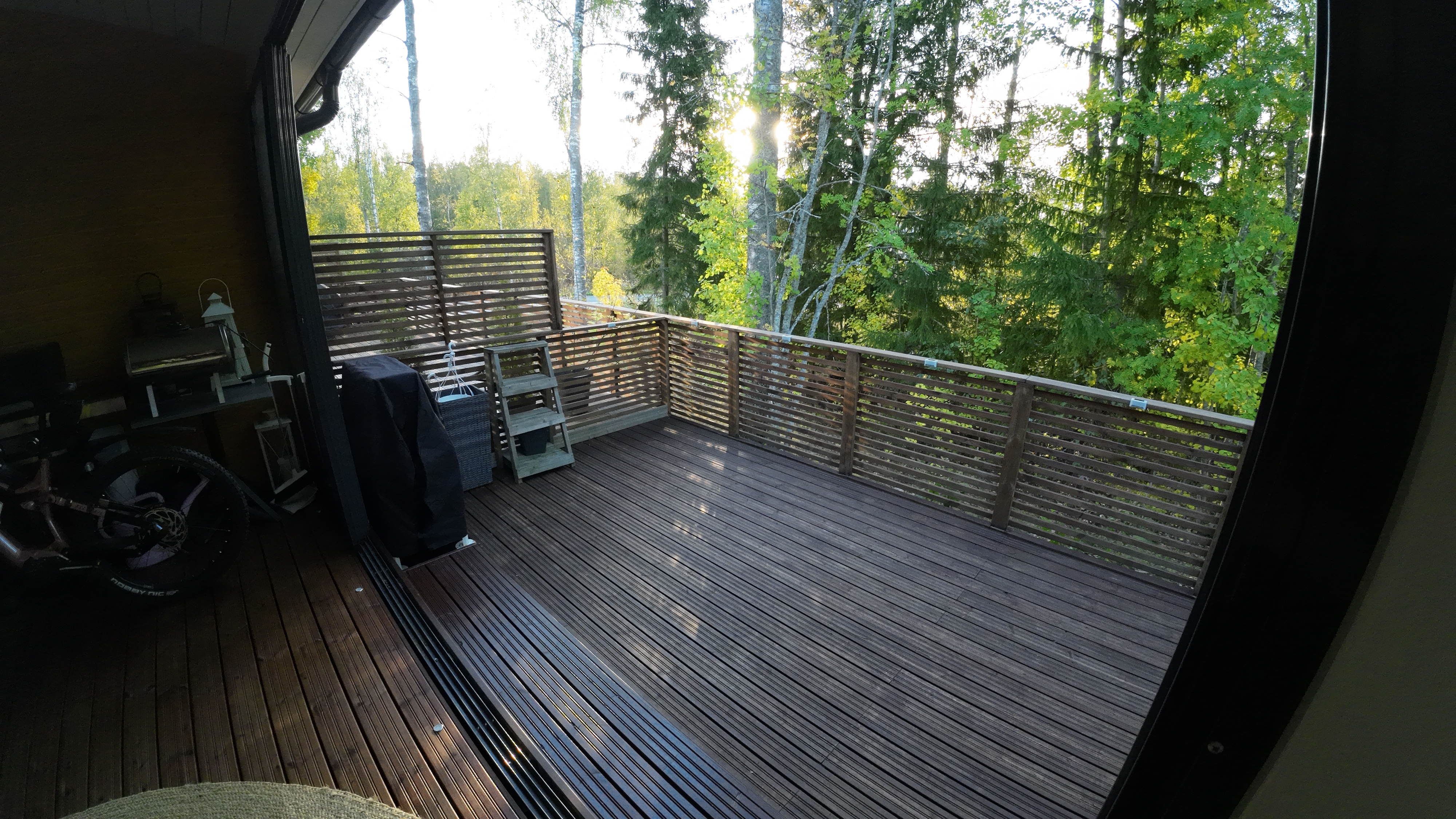 Timoteiraitti, Jyväskylä