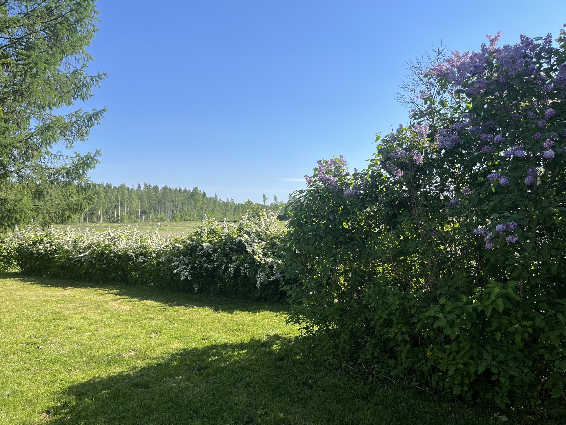 Kulhontie 63, Joensuu
