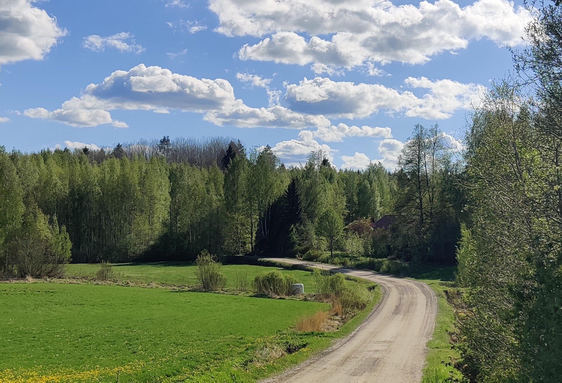 Kaunis maalaistie johtaa talolle