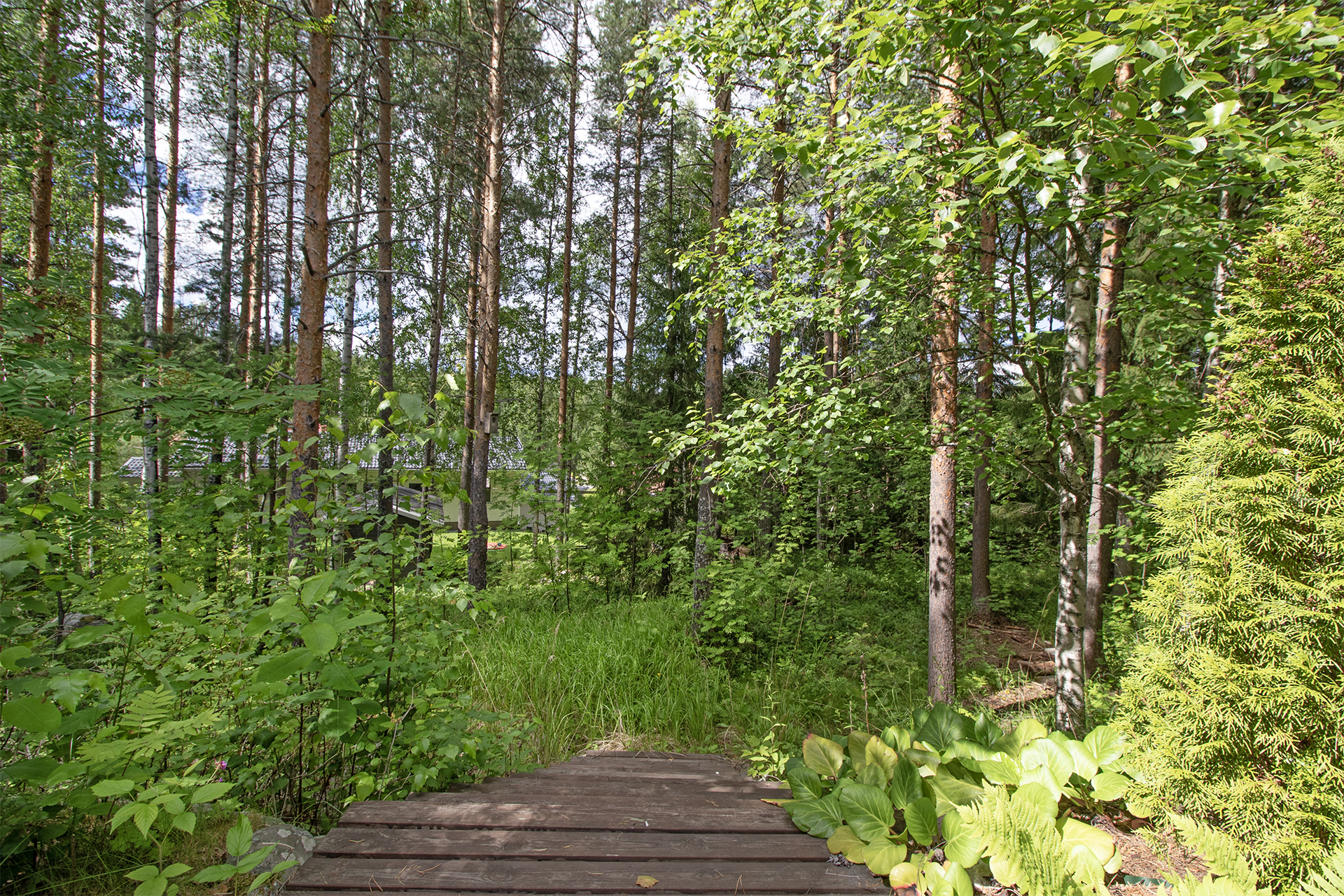 Osa takapihasta