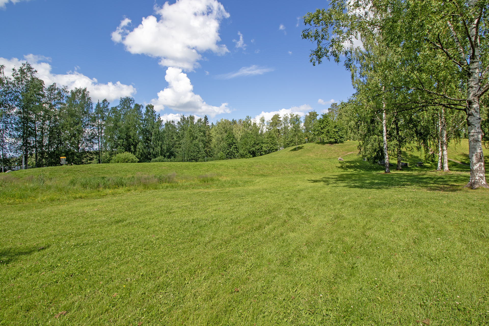 Lähi maasto