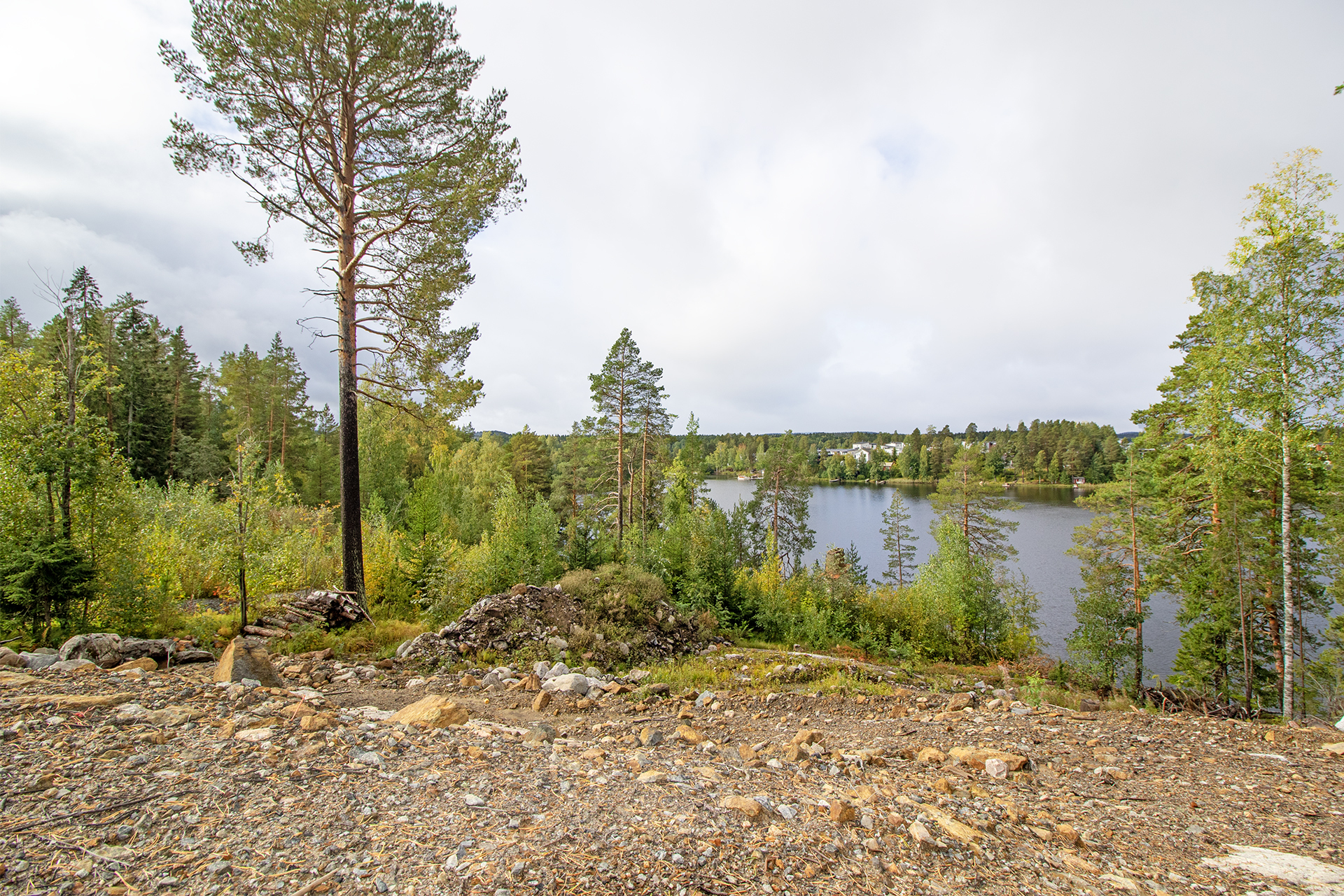 Jyrkäntie 12, Kuopio