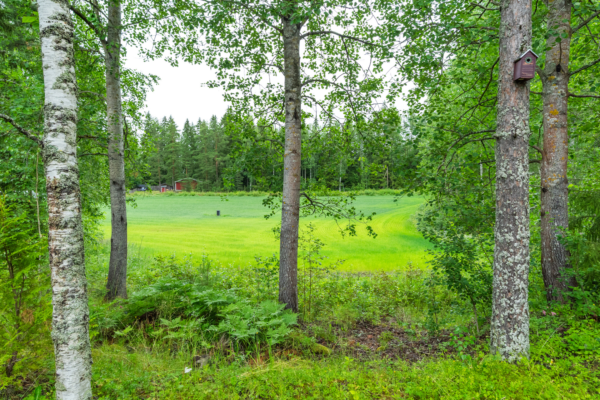 Taulaniementie 39, Taulakylä, Tampere