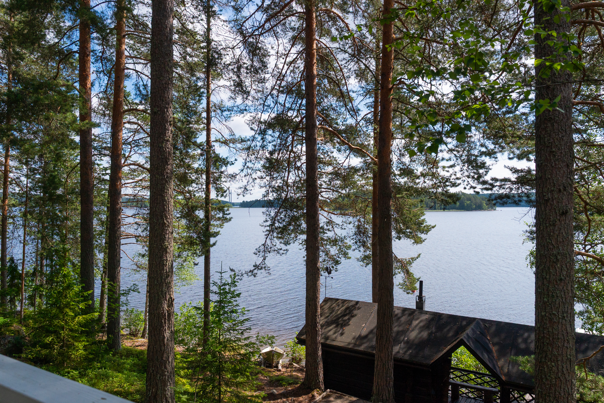 Palavas 4, Jyväskylä