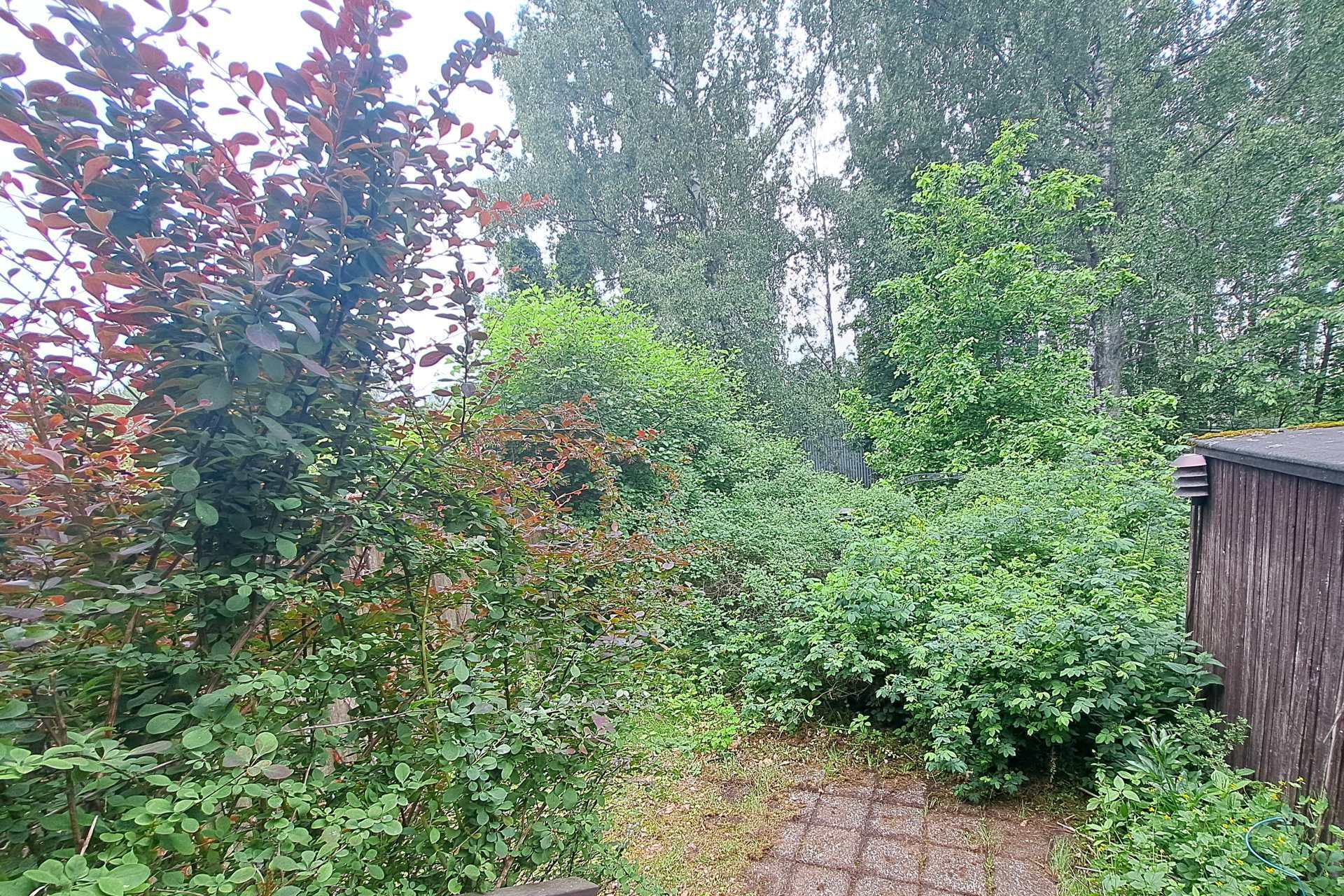 näkymä takapihalle