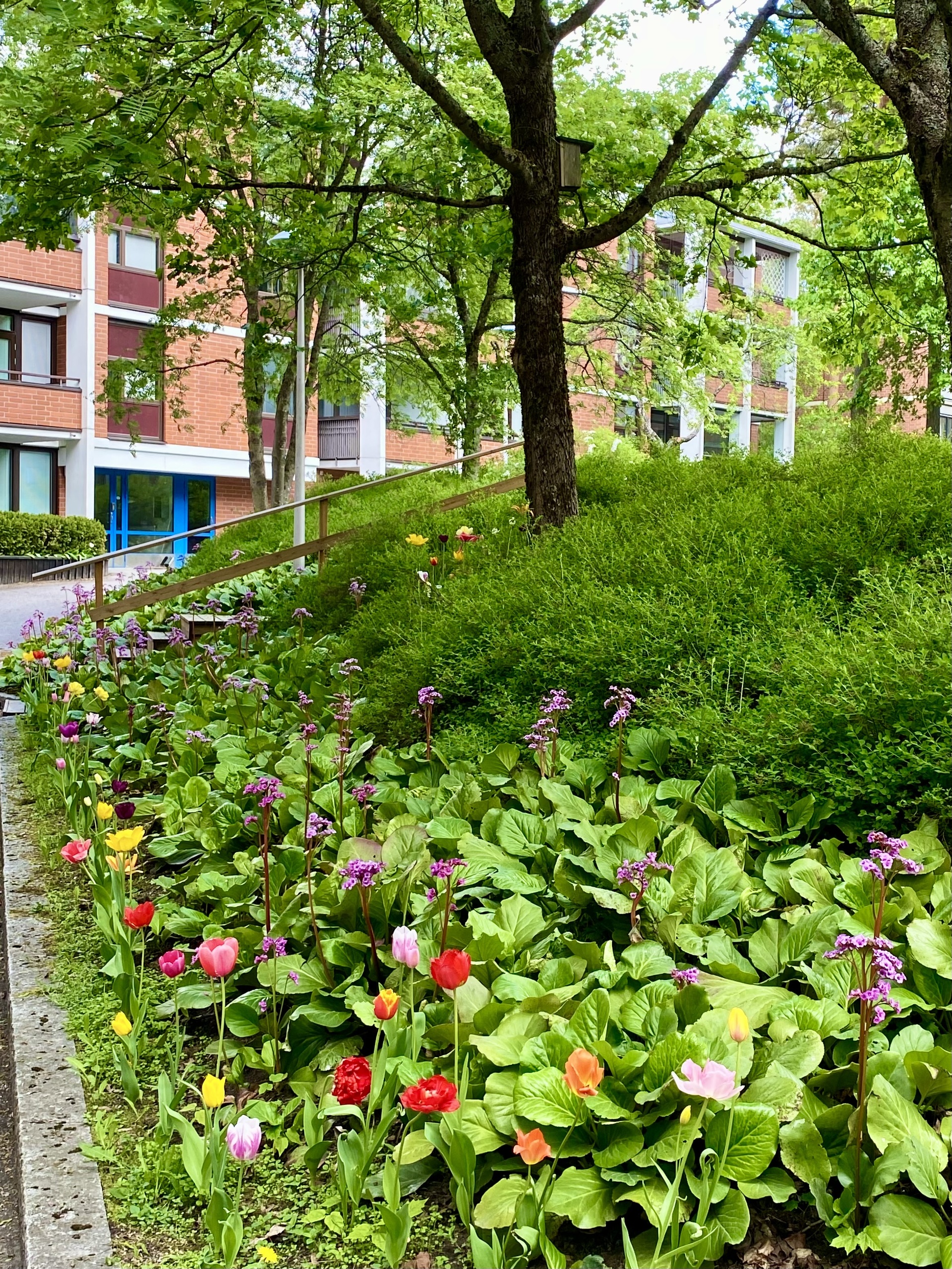 Ajurinkatu 4, Leppävaara, Espoo